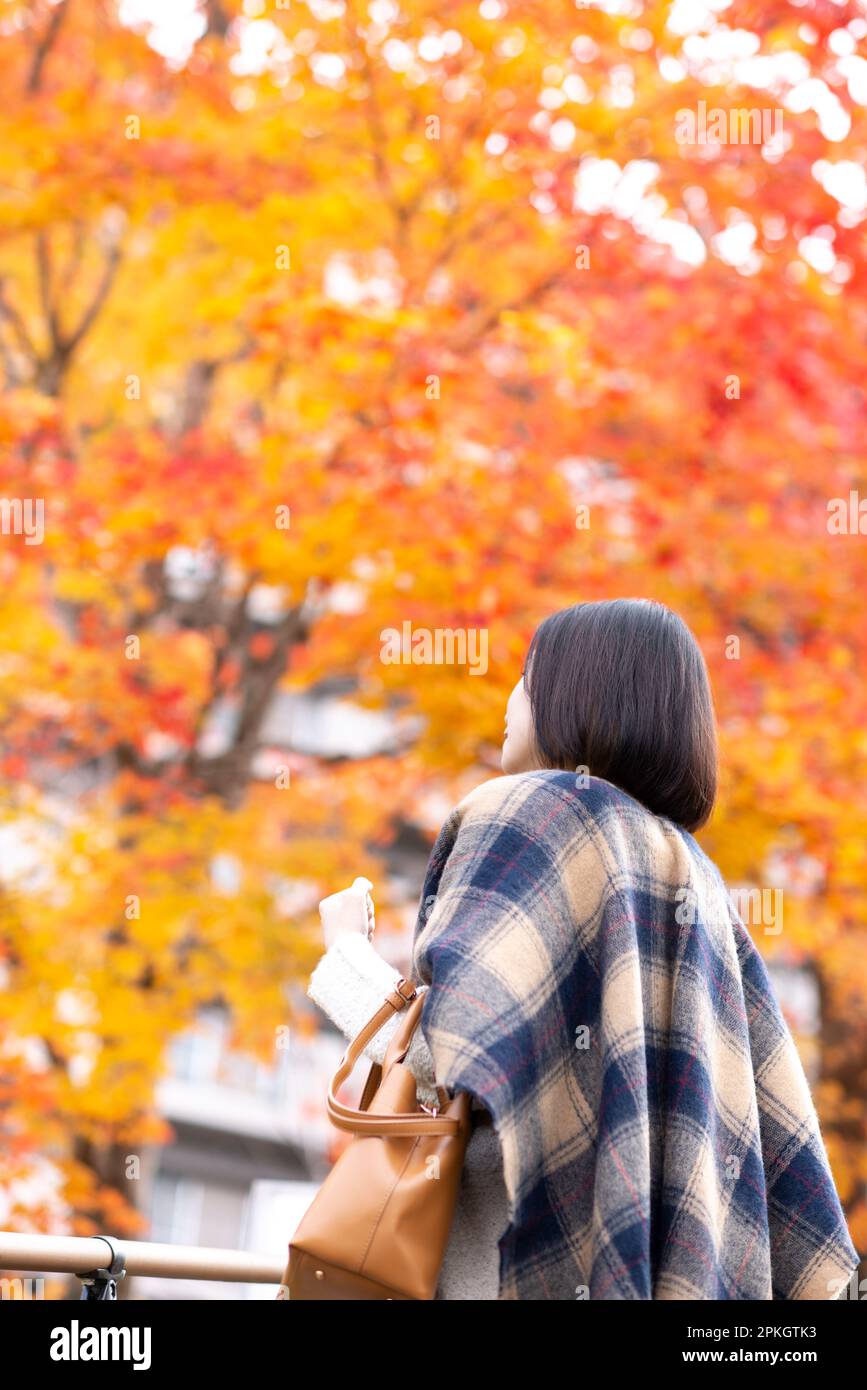 Rear View of a Woman Looking at Autumn Leaves Stock Photo