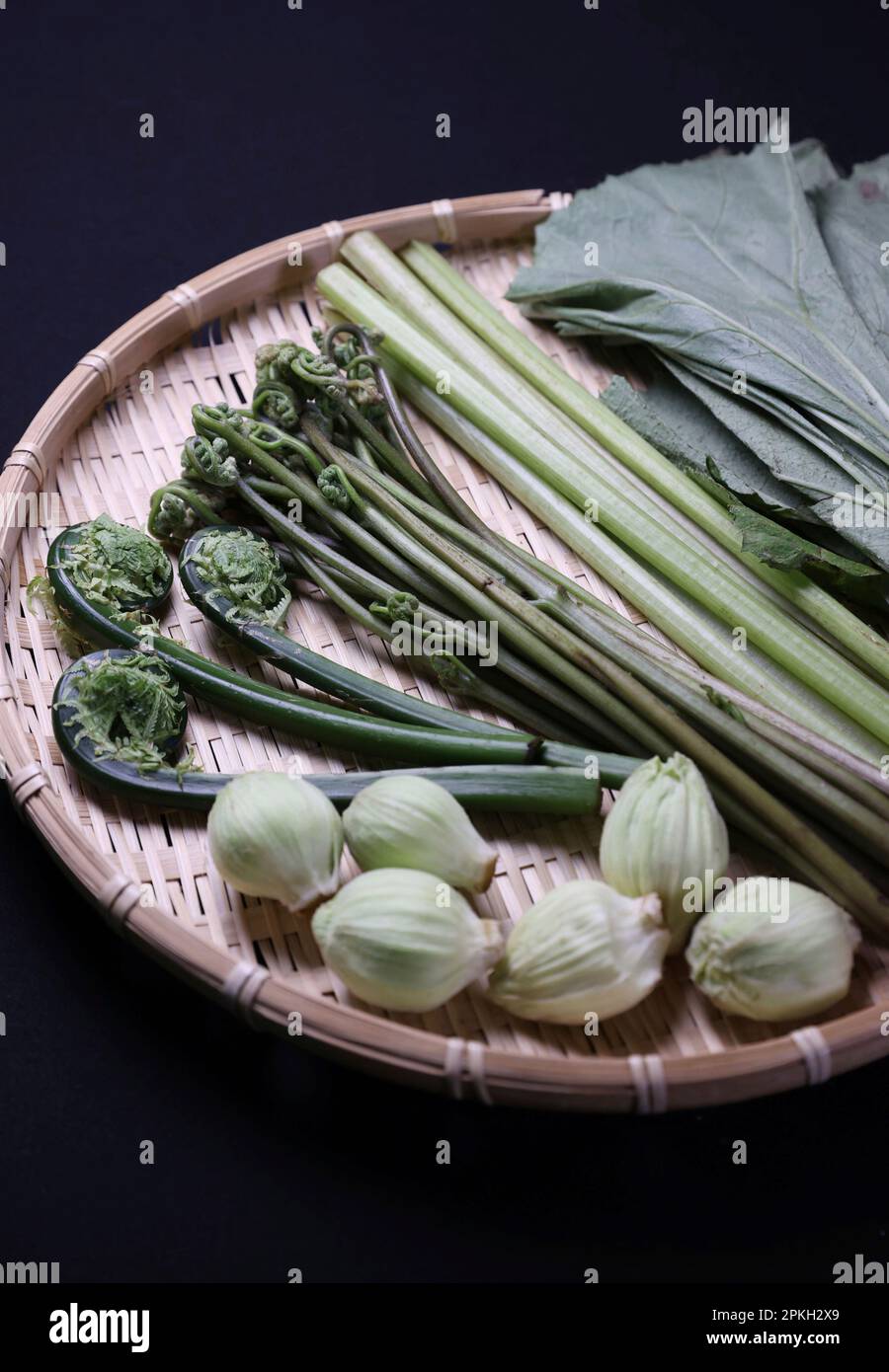 A picture shows edible wild plants, Fukinoto, Kogomi, Zenmai and Fuki