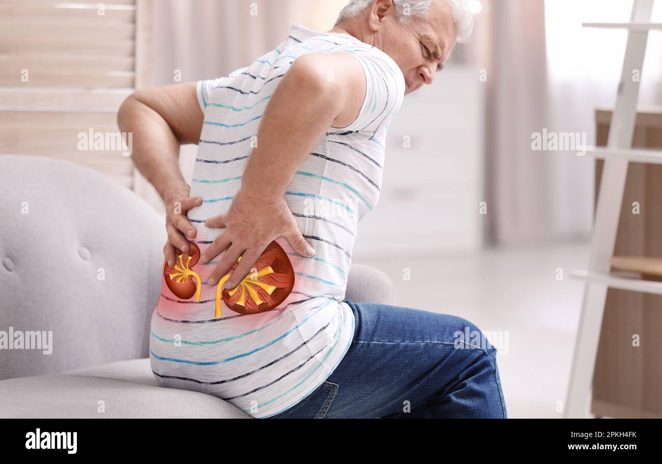 Senior man suffering from kidney pain at home Stock Photo Alamy