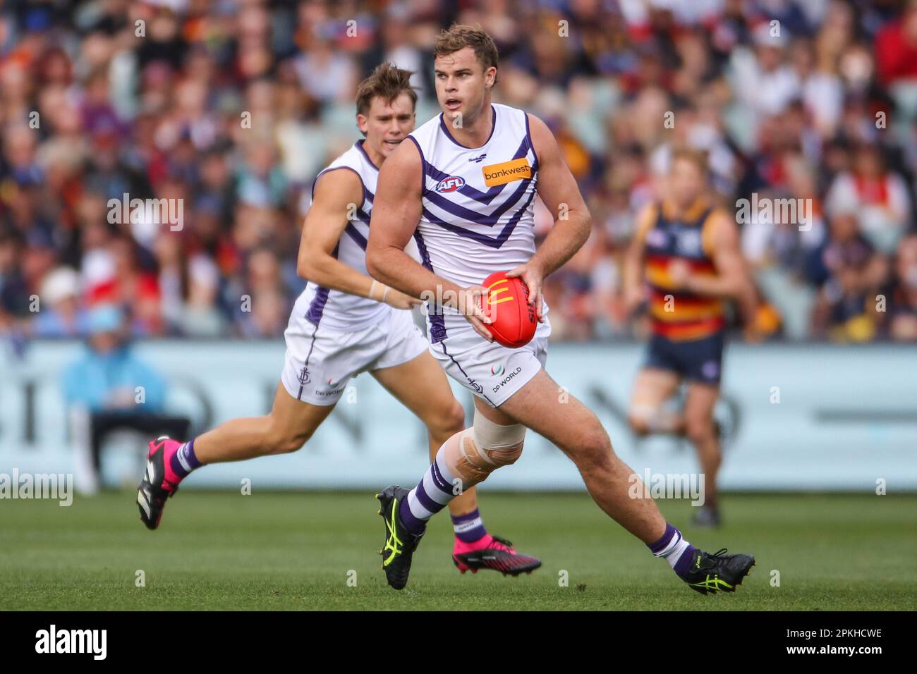Sean Darcy Huge Discount