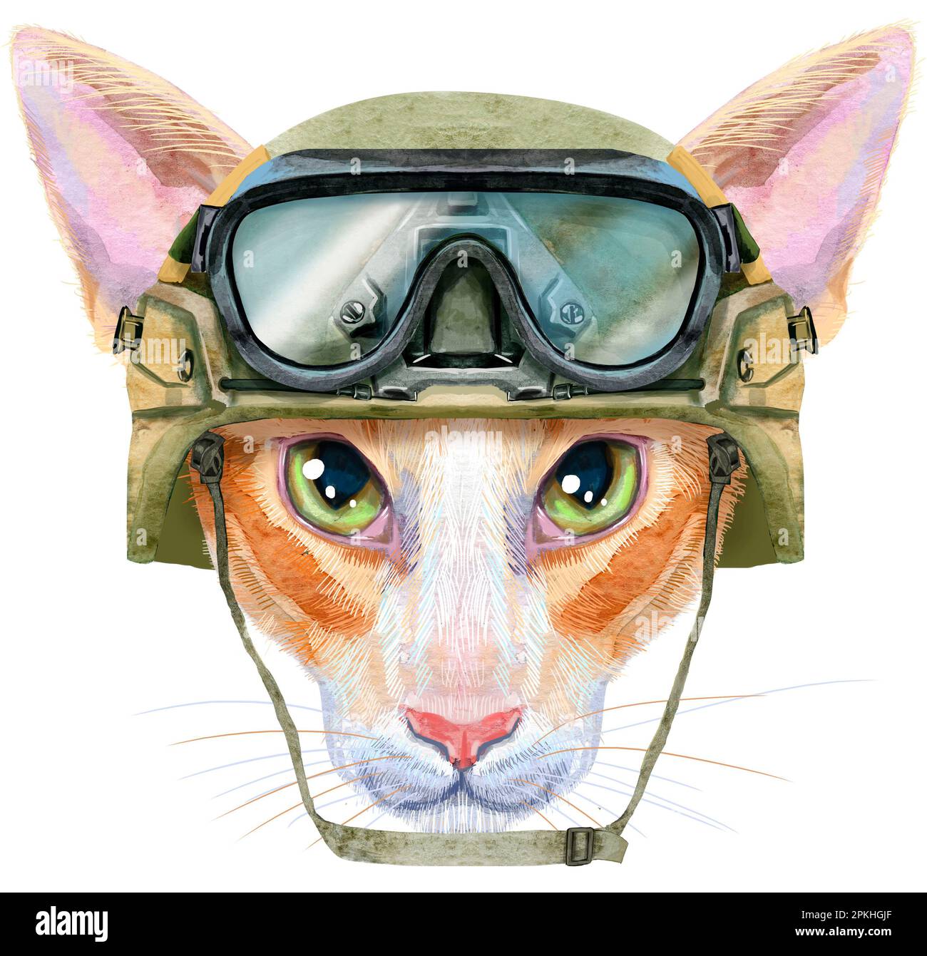 Cute oriental cat in military tactical helmet with goggles. Cat for t