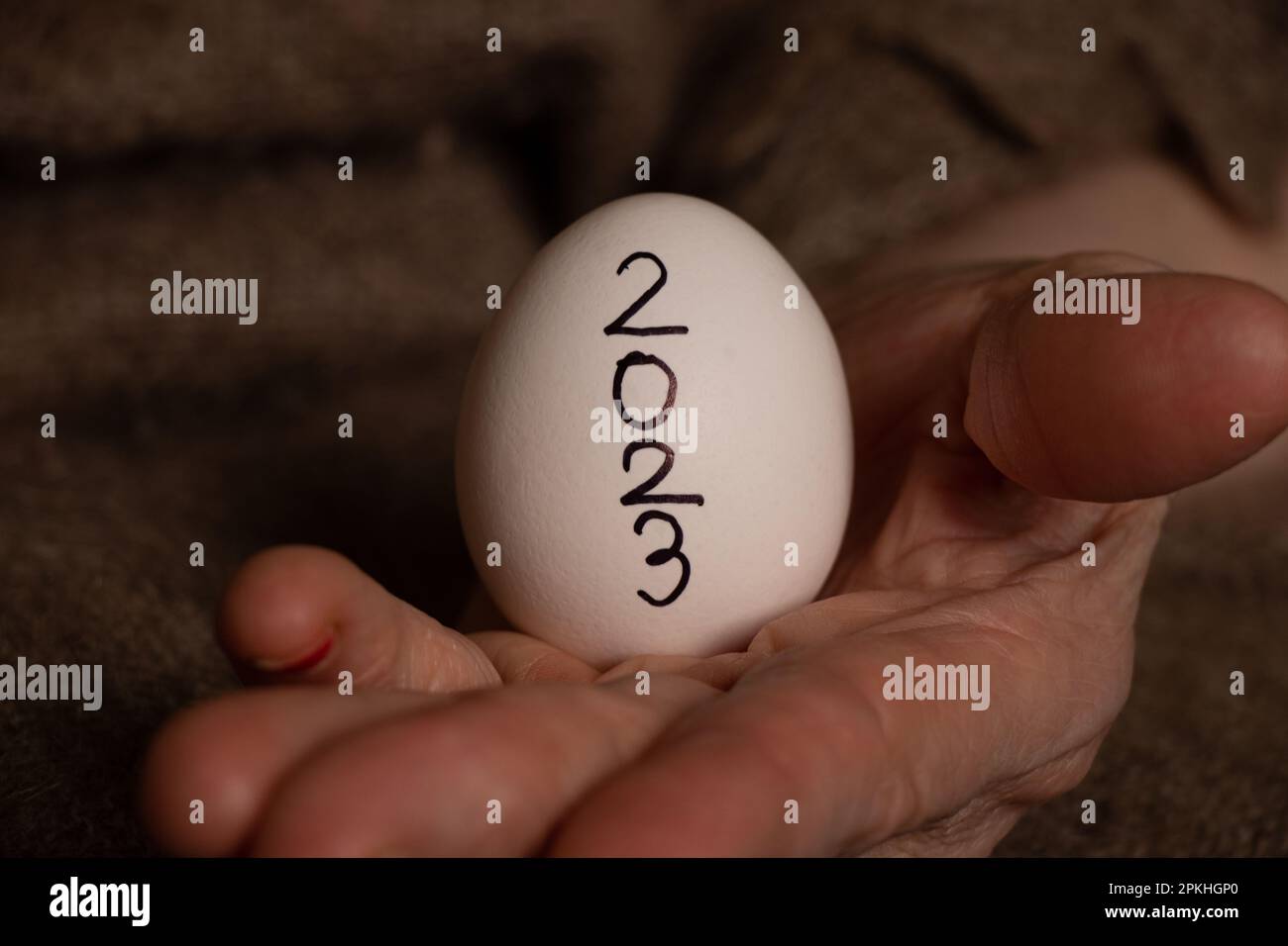 An old female hand holds a chicken egg with the inscription 2023,the year 2023 Stock Photo
