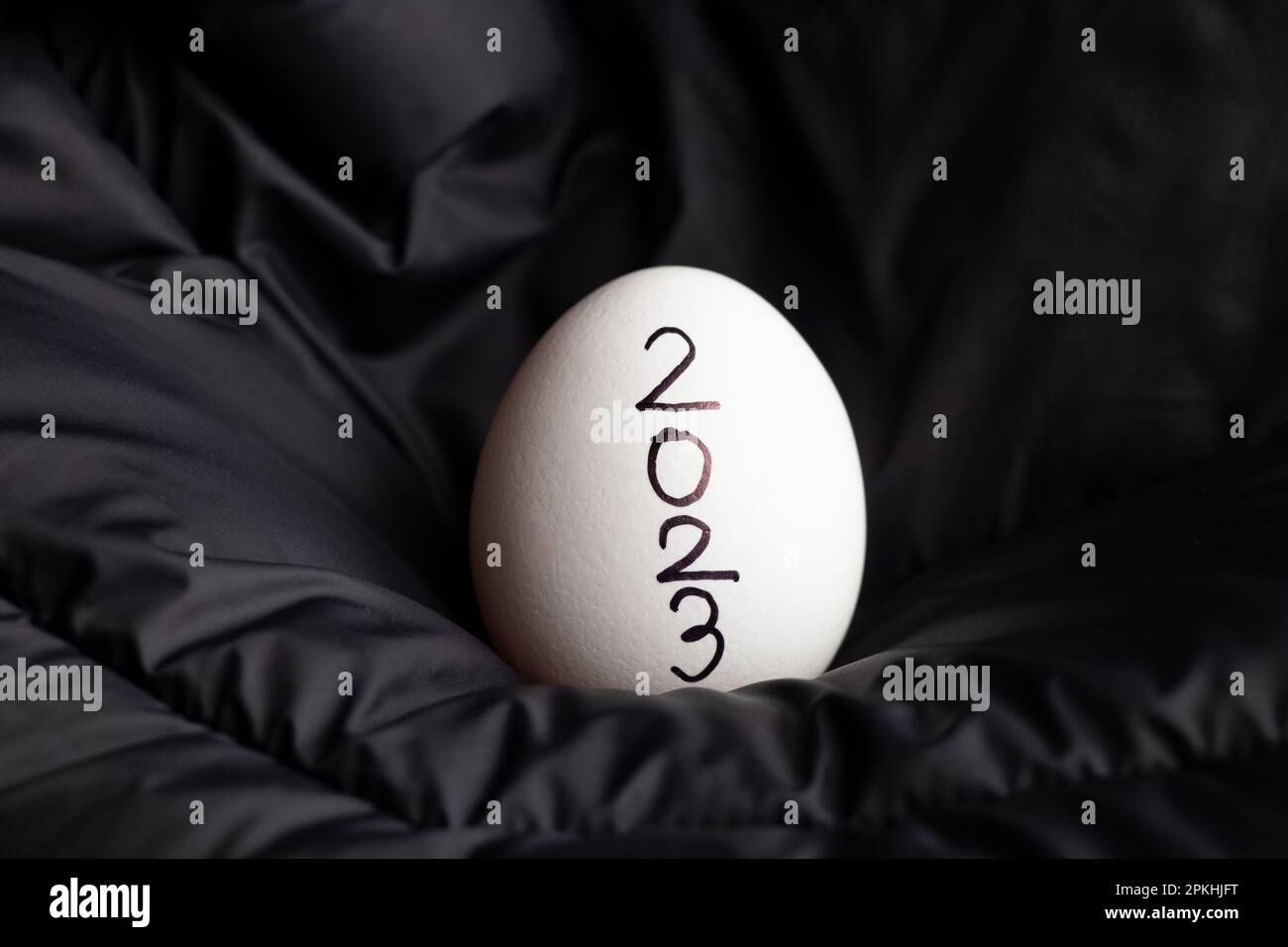 A white chicken egg with the text 2023 lies on a black background, 2023 Stock Photo