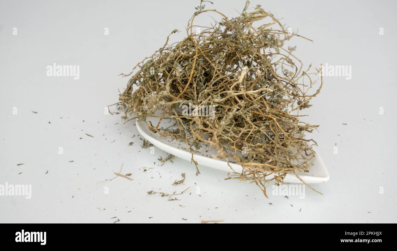 Ayurvedic Plants Dried Tribulus terrestris isolated on white background Stock Photo