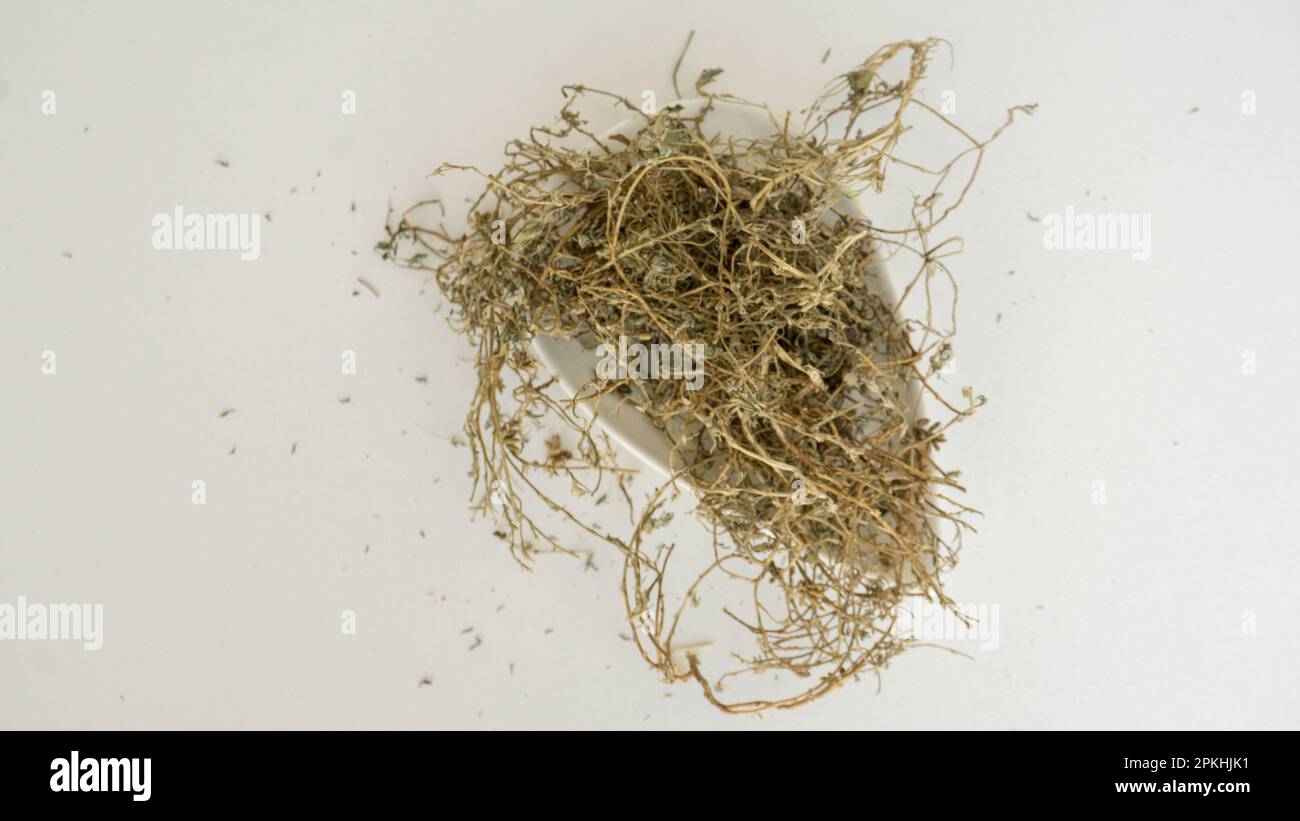 Ayurvedic Plants Dried Tribulus terrestris isolated on white background Stock Photo