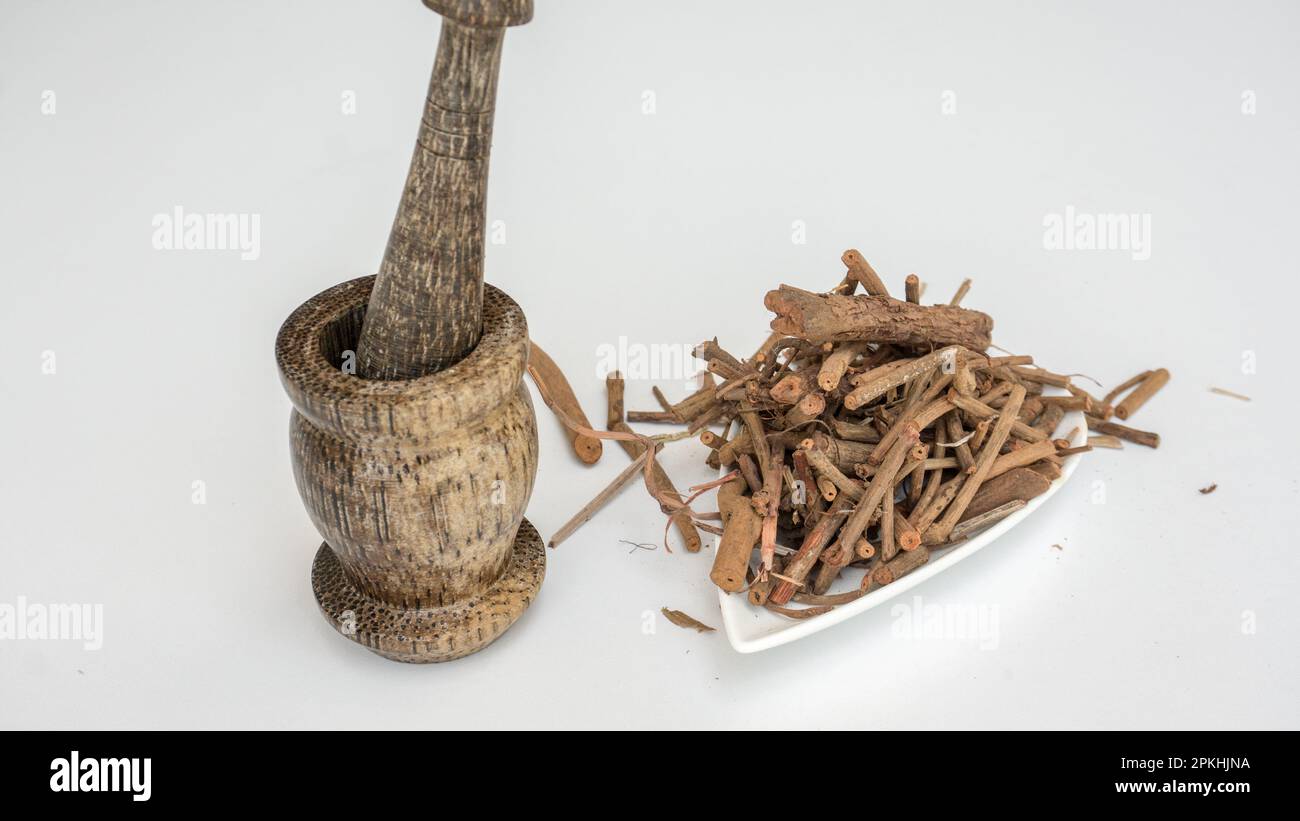 Indian madder, Heart leaved madder-Ayurvedic medicine (Rubia cordifolia) Stock Photo