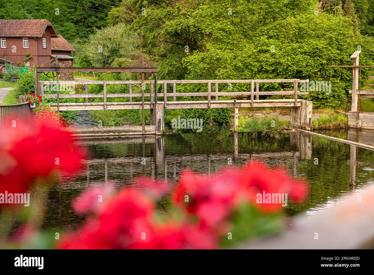 Historical weir on the river with spring flowers, Bad Wildbad, Black ...