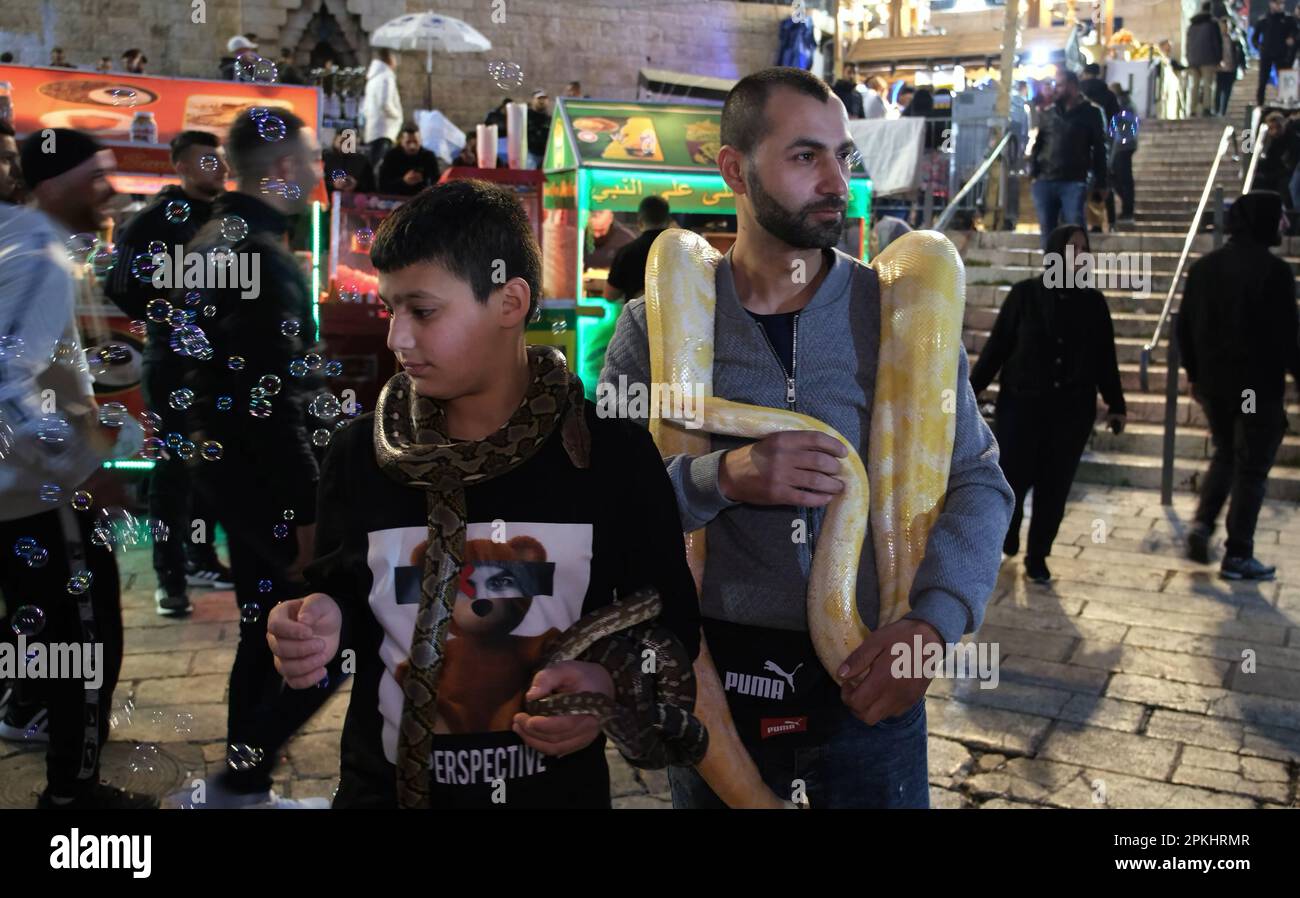 Palestinians hold snakes around their necks at the plaza in front of Damascus Gate after the break of Ramadan fast on April 6, 2023 in Jerusalem, Israel. Ramadan is described as a holy month of sacrifice and worship for the Muslim people. Stock Photo