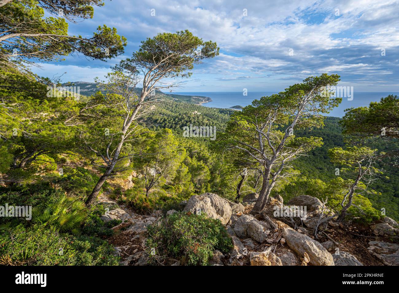 View of mountains and coast, hike to La Trapa through sparse forest, Serra de Tramuntana, Majorca, Spain Stock Photo