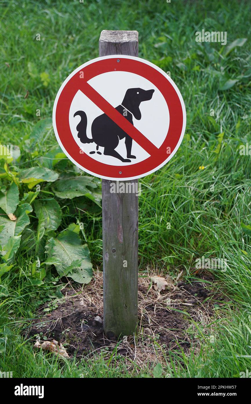 prohibition sign no dog pooping on lawn Stock Photo Alamy