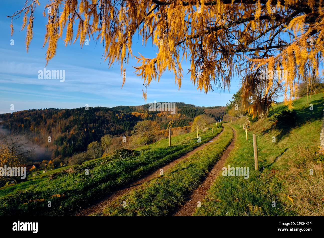 Badem wuerttemberg hi-res stock photography and images - Alamy