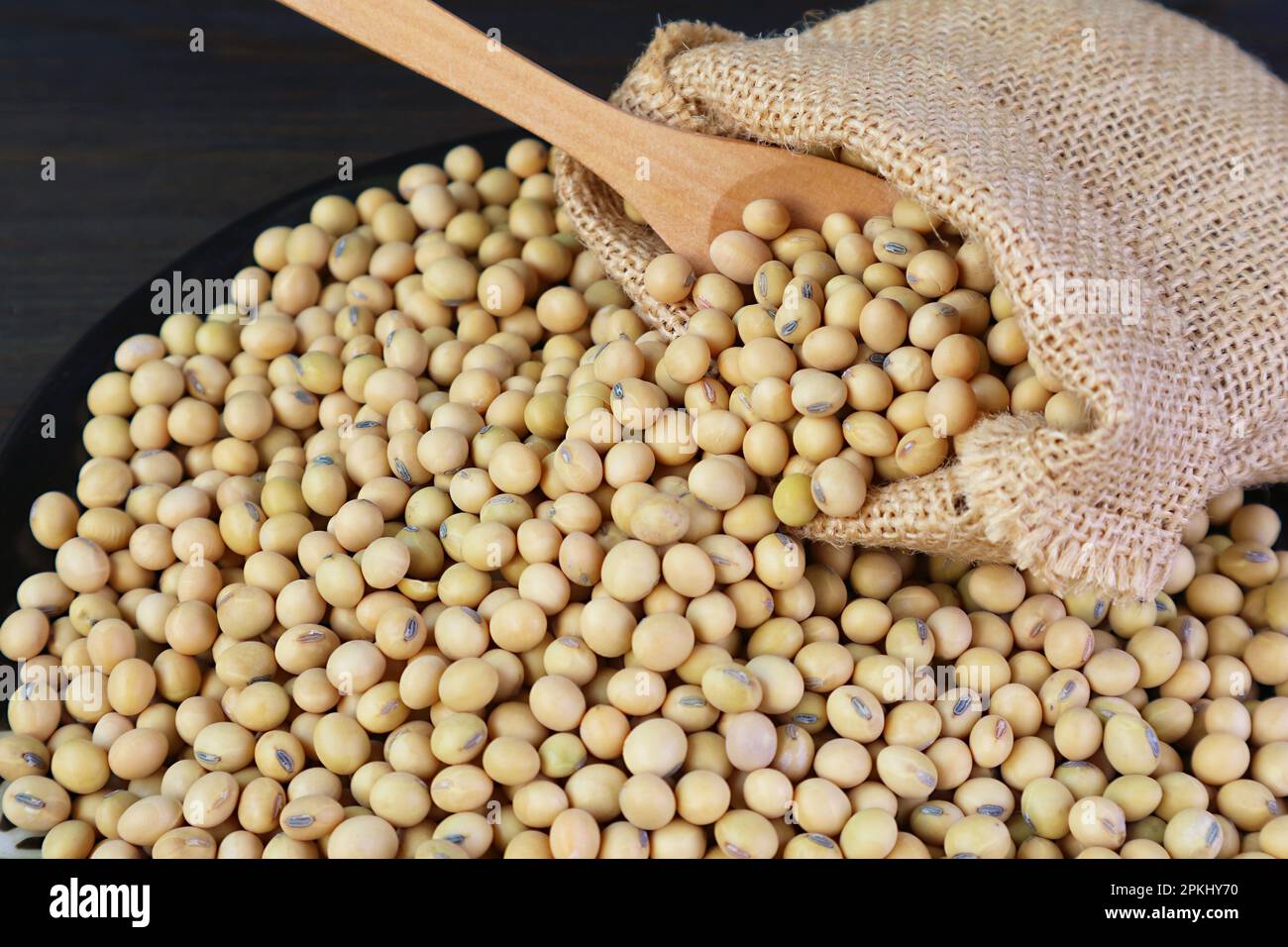Dried Soybeans Scattered from Burlap Bag on to Black Wooden Table Stock Photo