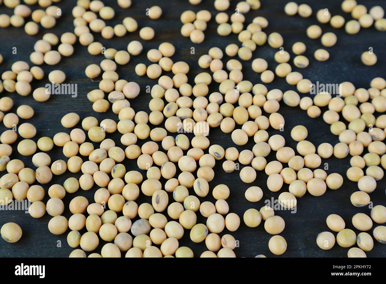 Heap of dried soybeans scattered on black wooden background Stock Photo