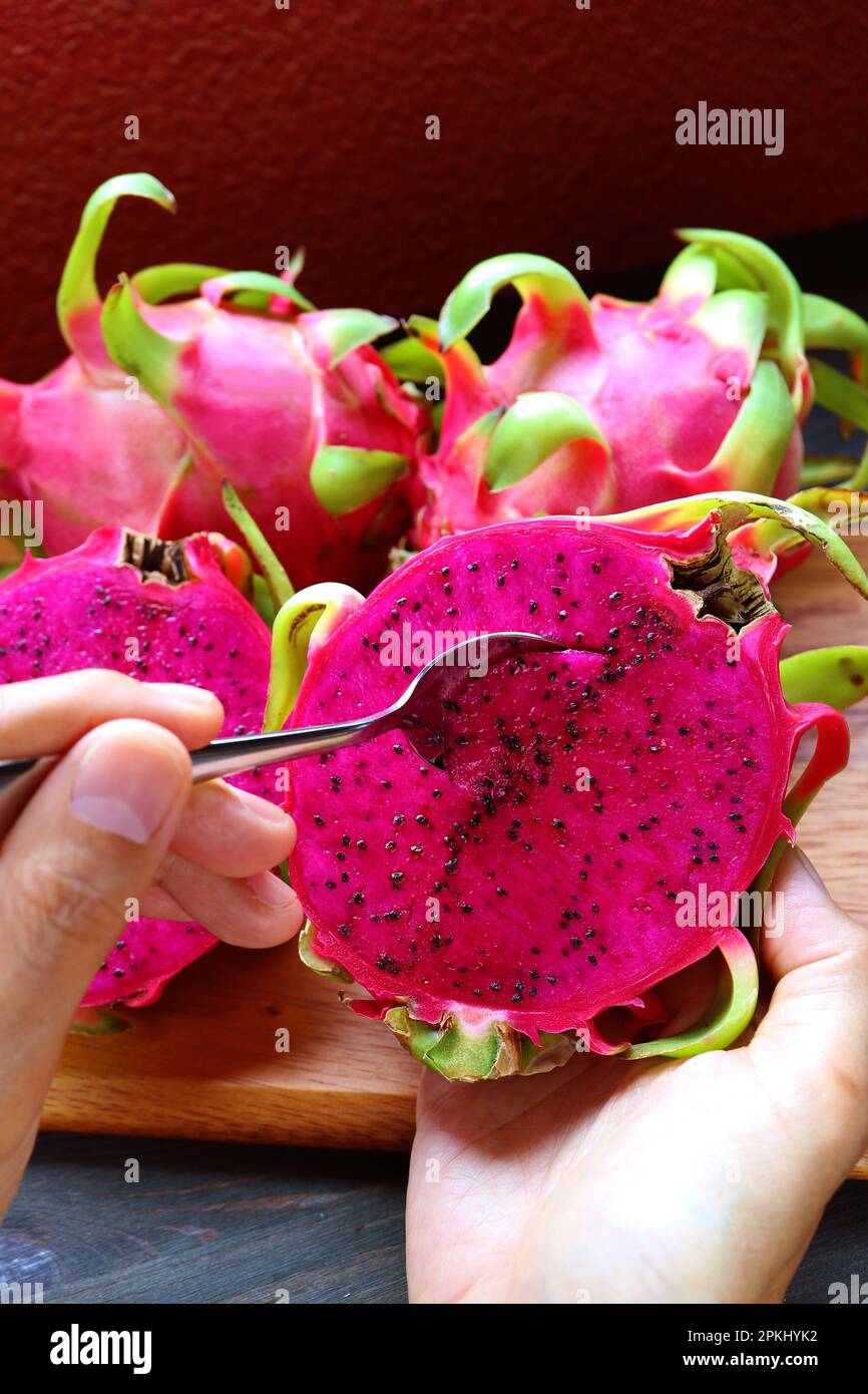 Hand Scooping Delectable Hot Pink Flesh of Red Dragon Fruits or Pink Pitaya with a Spoon Stock Photo
