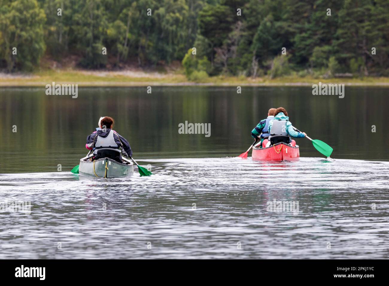 People paddling a canoe on Loch Insh Stock Photo Alamy