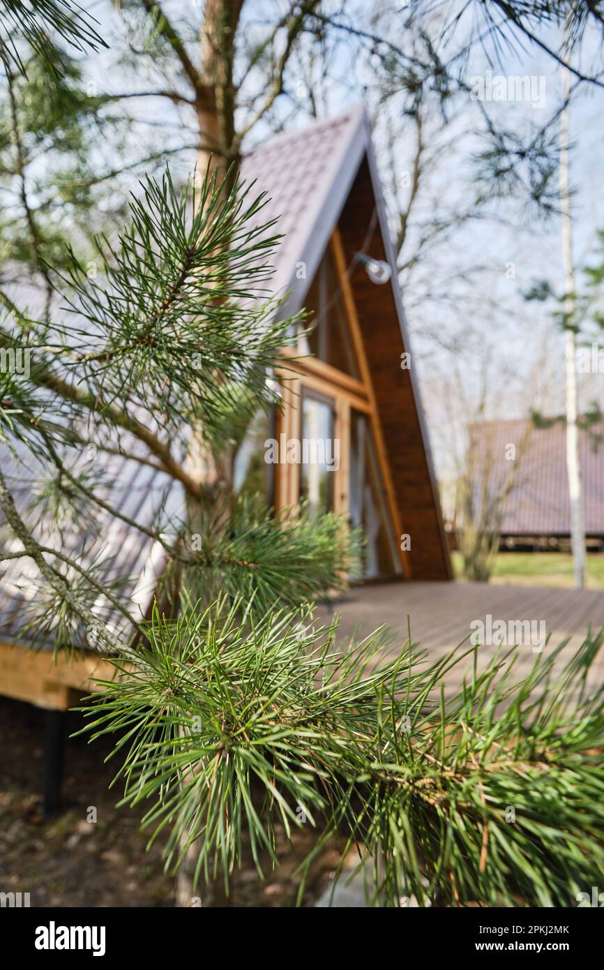 https://c8.alamy.com/comp/2PKJ2MK/selective-focus-photo-of-blurred-a-frame-wooden-chalet-with-a-pine-tree-on-foreground-2PKJ2MK.jpg