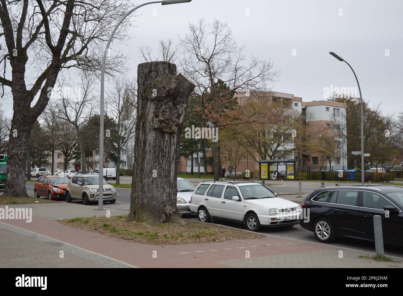 Berlin, Germany - April 7, 2023 - Tree stump at Buckower Damm in Britz. (Photo by Markku Rainer Peltonen) Stock Photo