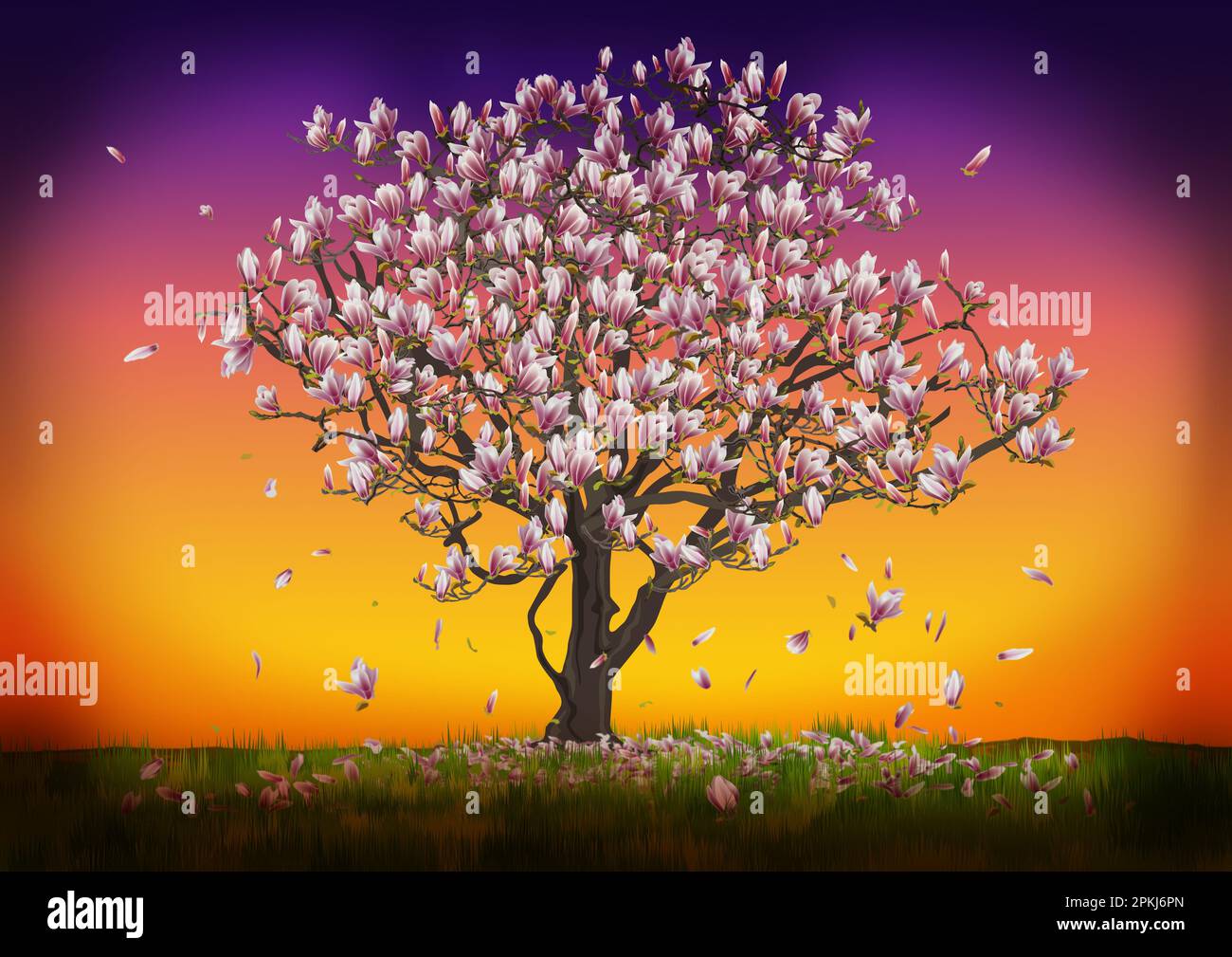 Magnolia tree branches illustration hi-res stock photography and images ...