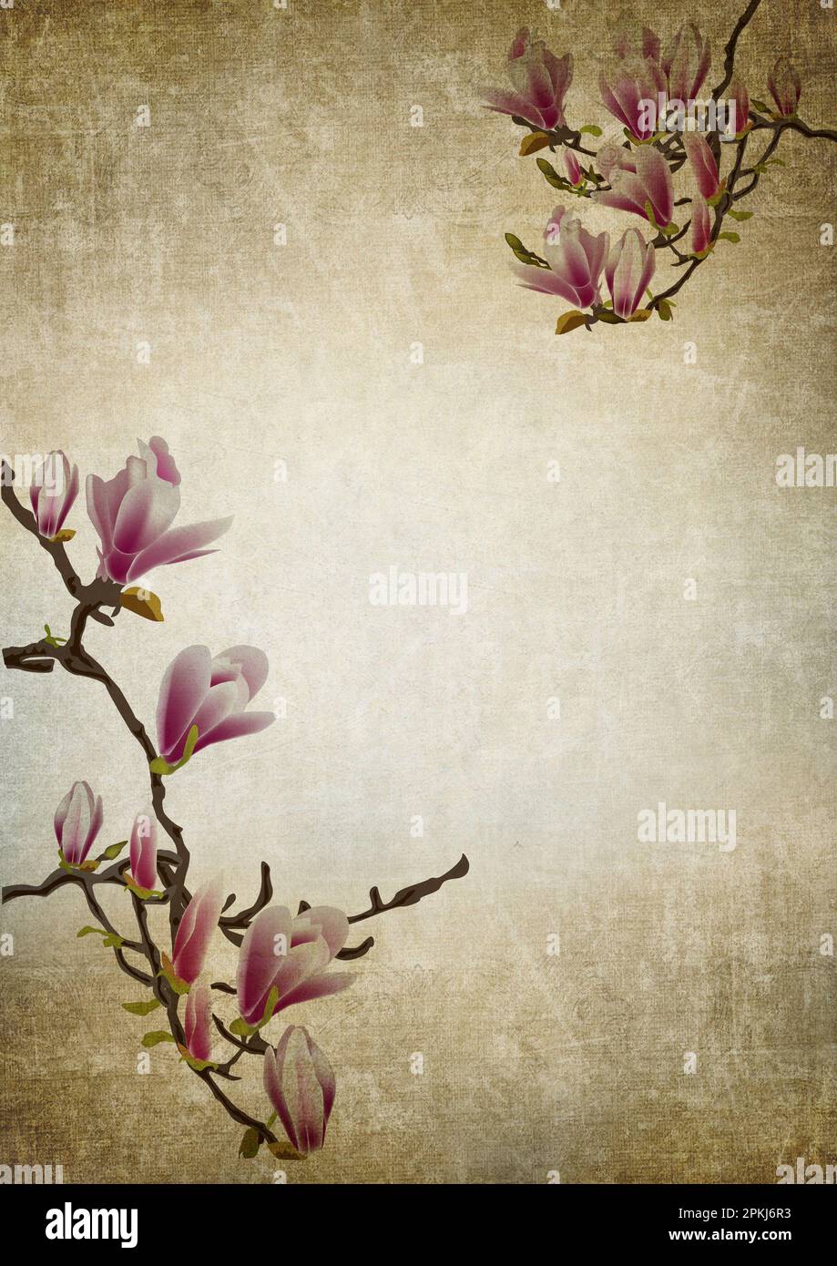 Magnolia tree branches illustration hi-res stock photography and images ...