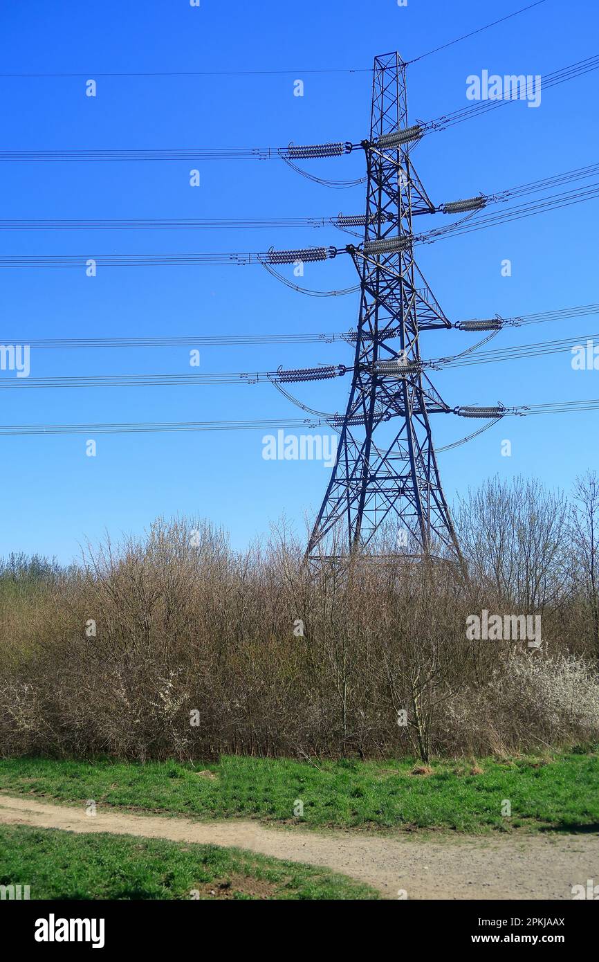 A tall elctricity pylon in the North Kent countryside Stock Photo - Alamy