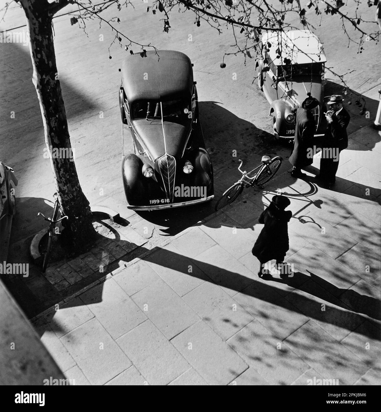 Adelaide 1946 by Max Dupain Stock Photo