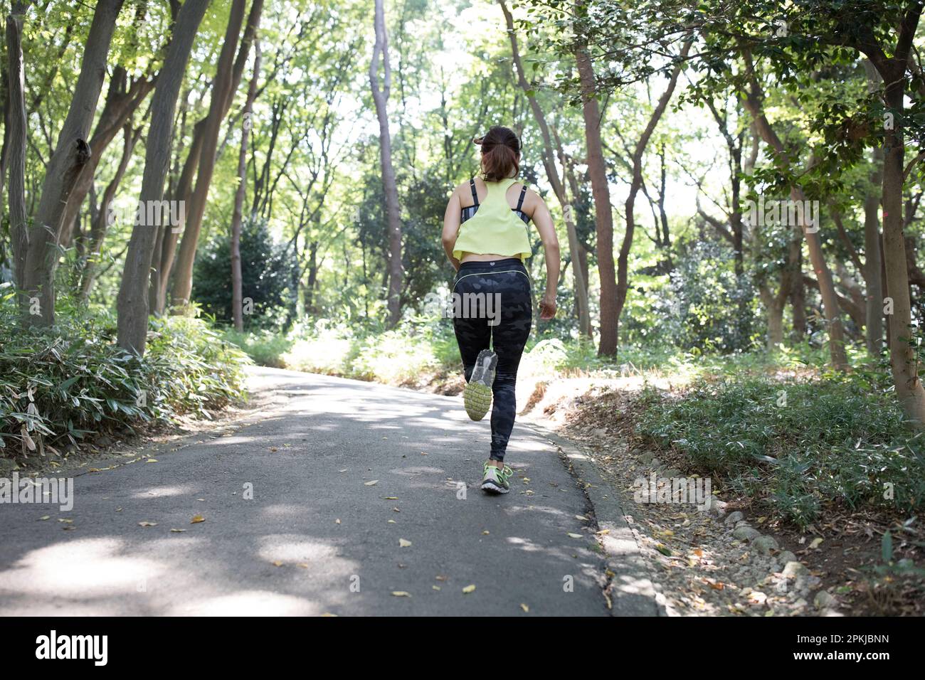 Back view of woman jogging in the grove Stock Photo