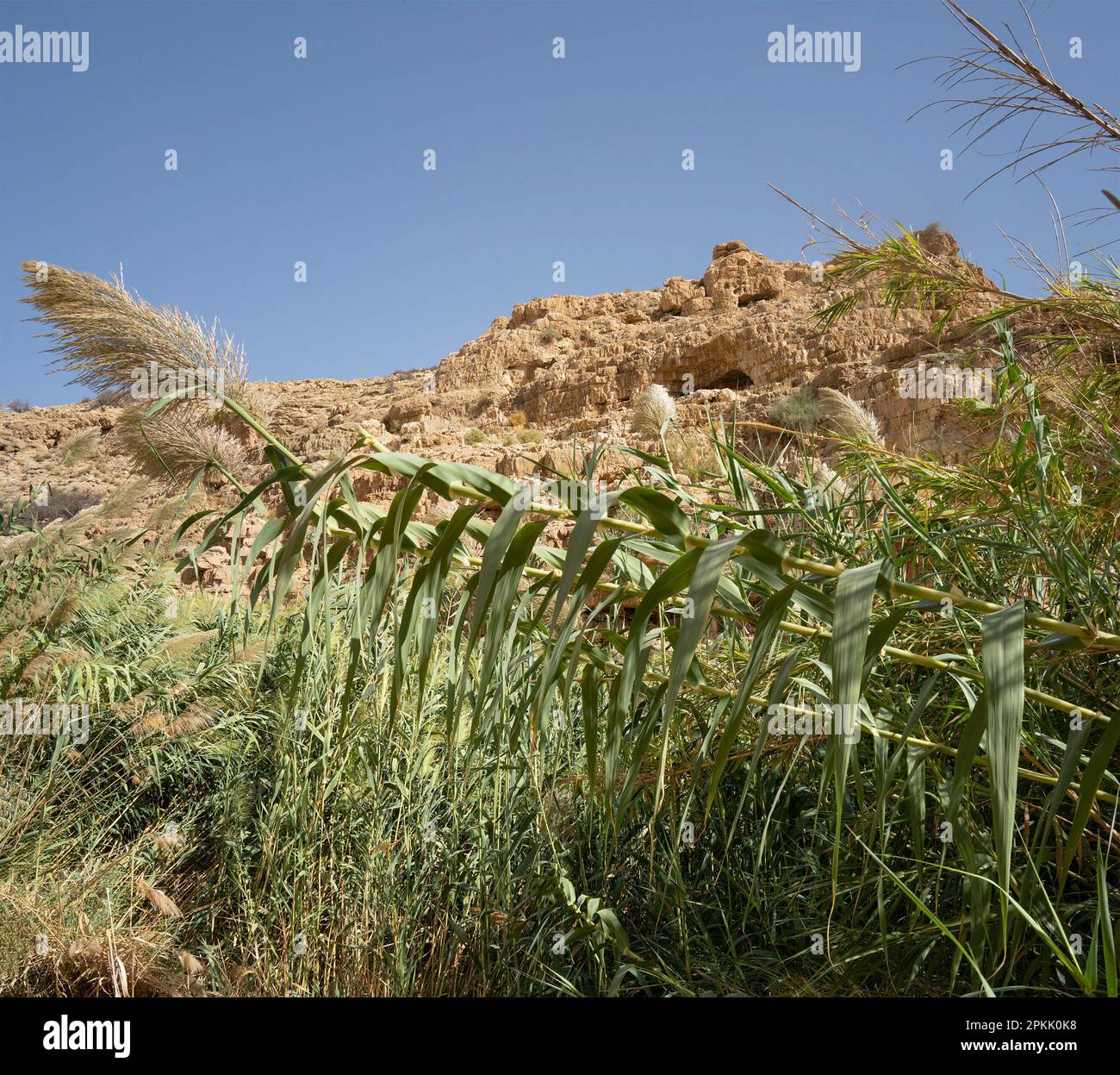 Palestine creek hi-res stock photography and images - Alamy