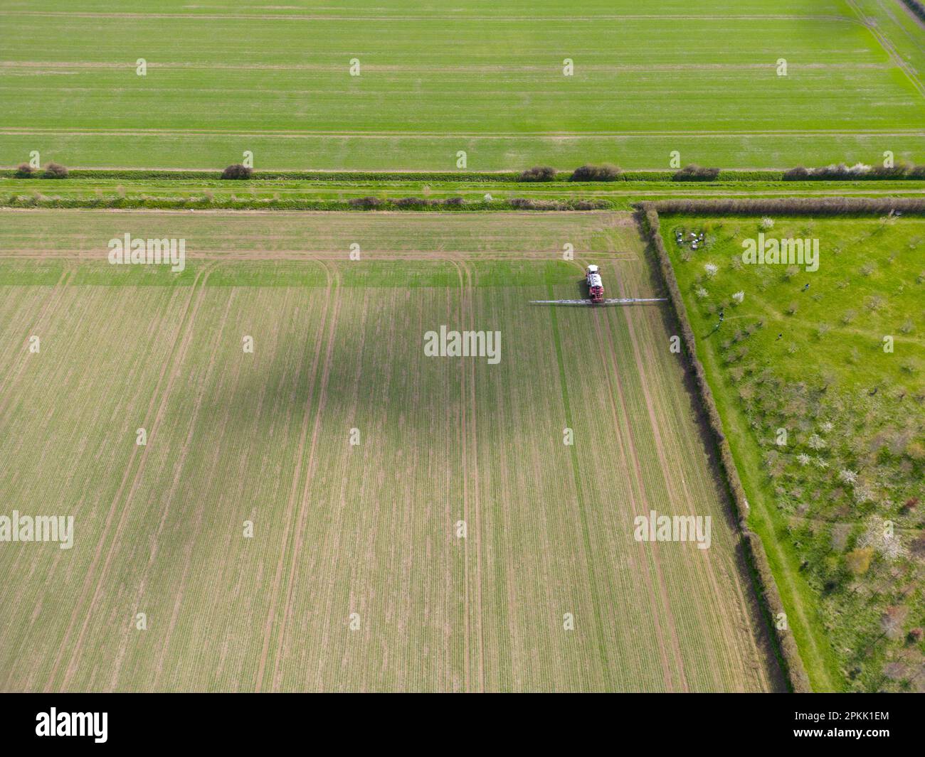 Willingham Cambridgeshire, UK. 8th Apr, 2023. A farmer makes the most of the warm, sunny spring weather and applies a treatment to arable farmland in the Fens on the Easter weekend. Credit: Julian Eales/Alamy Live News Stock Photo