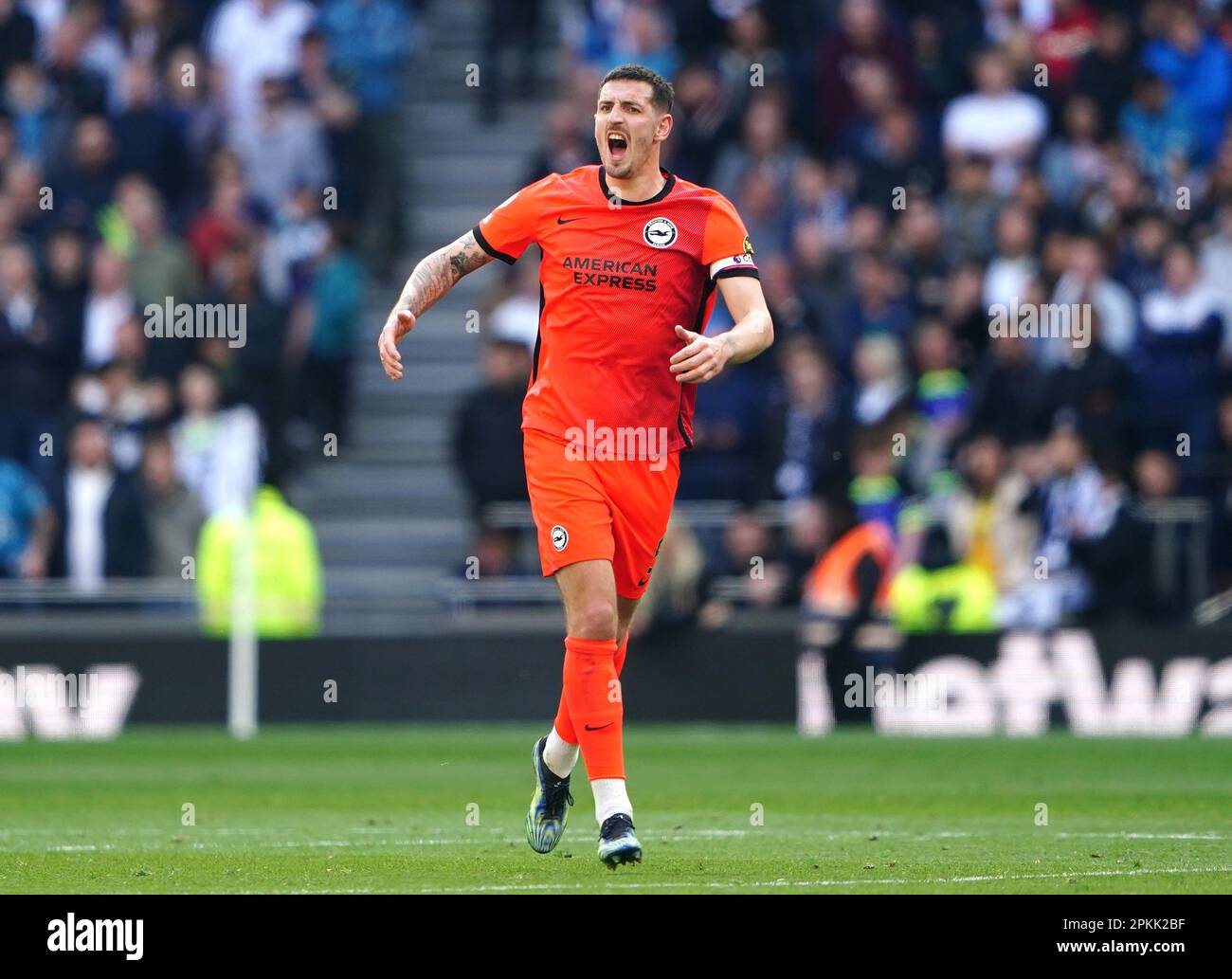 Brighton and Hove Albion's Lewis Dunk celebrates scoring their side's