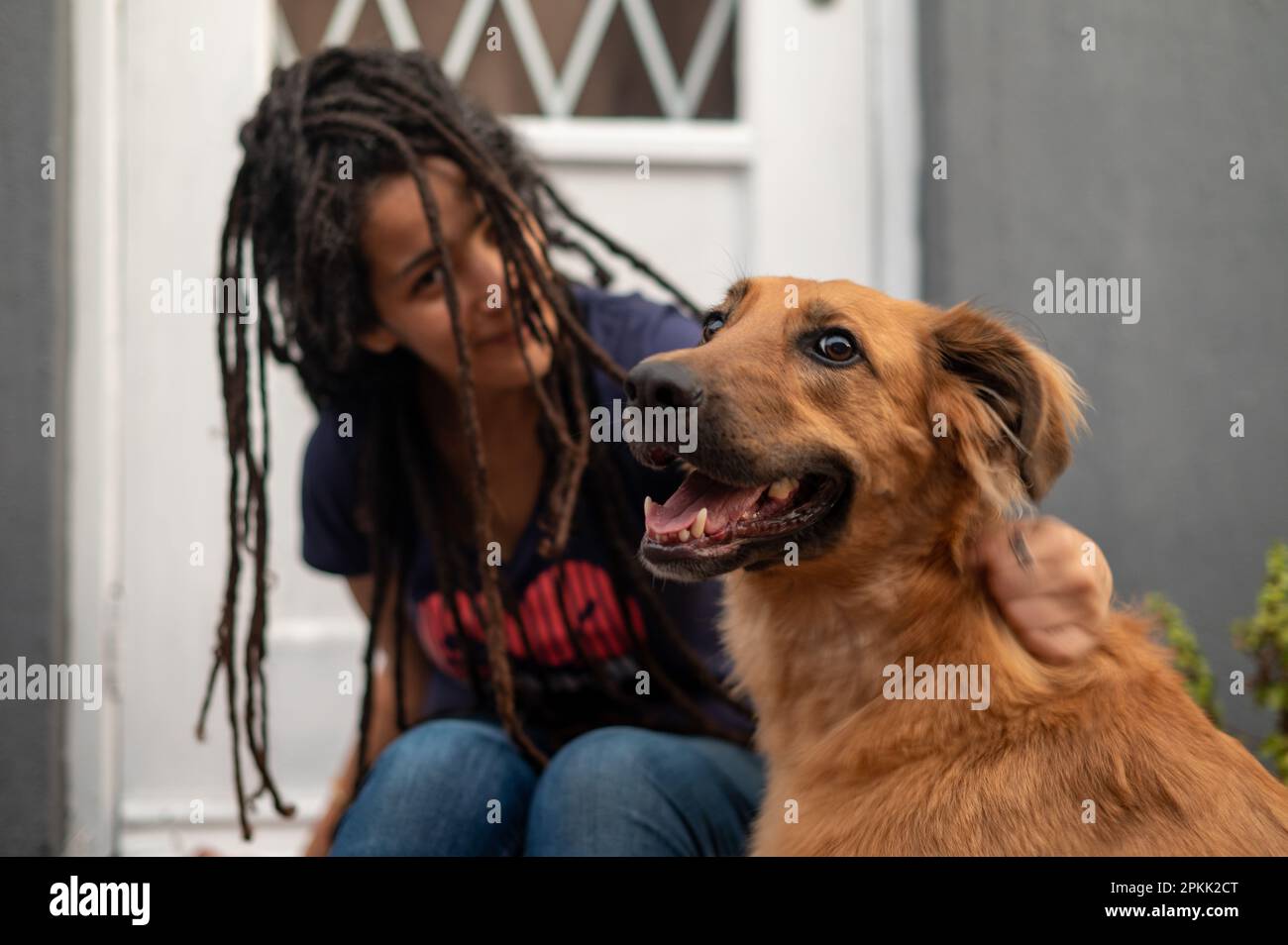 Close up portrait of dog and his owner Stock Photo Alamy