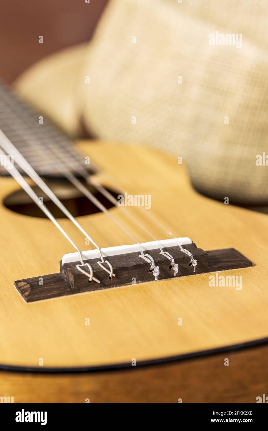 One of the six strings that this guitar should have is missing Stock Photo