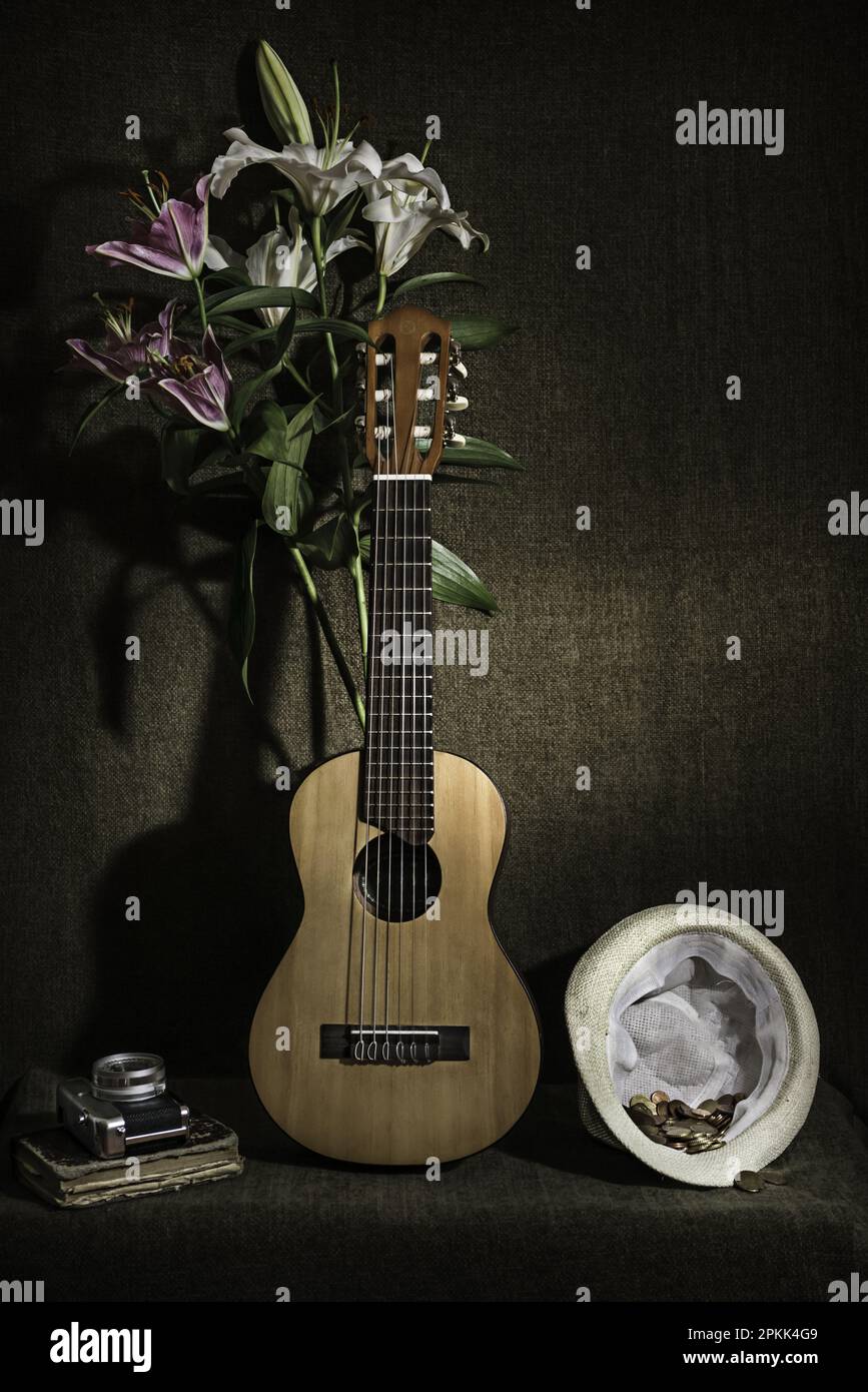 A dark still life with a ukulele, a hat with coins and a vintage camera Stock Photo