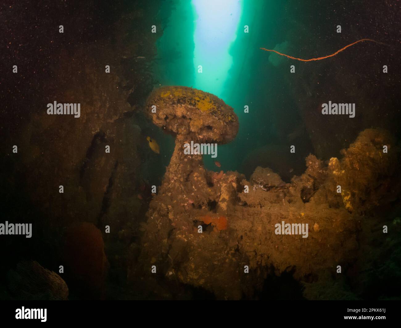 A wheeled vehicle in the wreck of the SS President Coolidge in Espiritu Santo, Vanuatu Stock