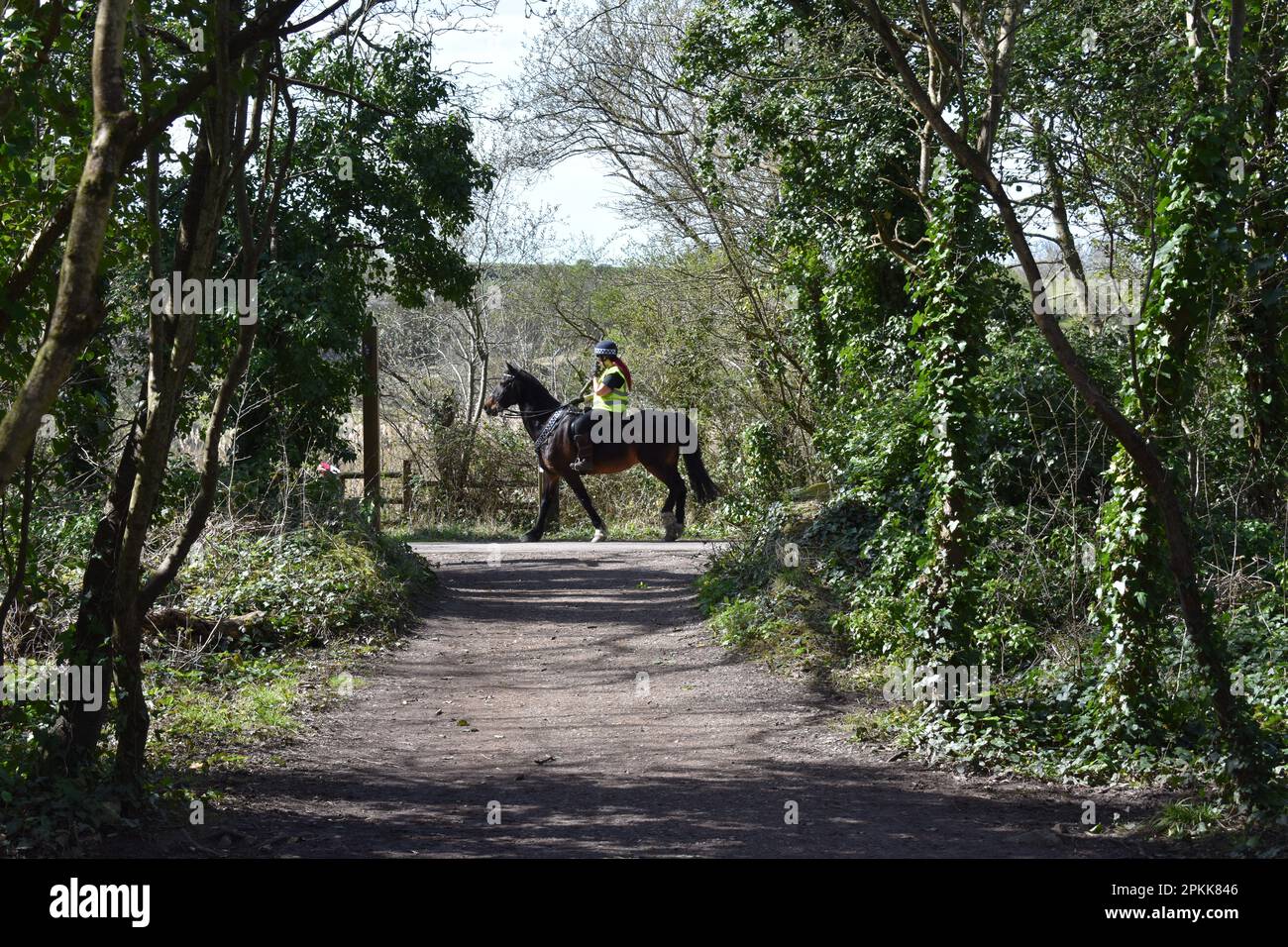 Horse riding in Cosmeston Lakes Country Park, cosmeston, Penarth, Wales Stock Photo