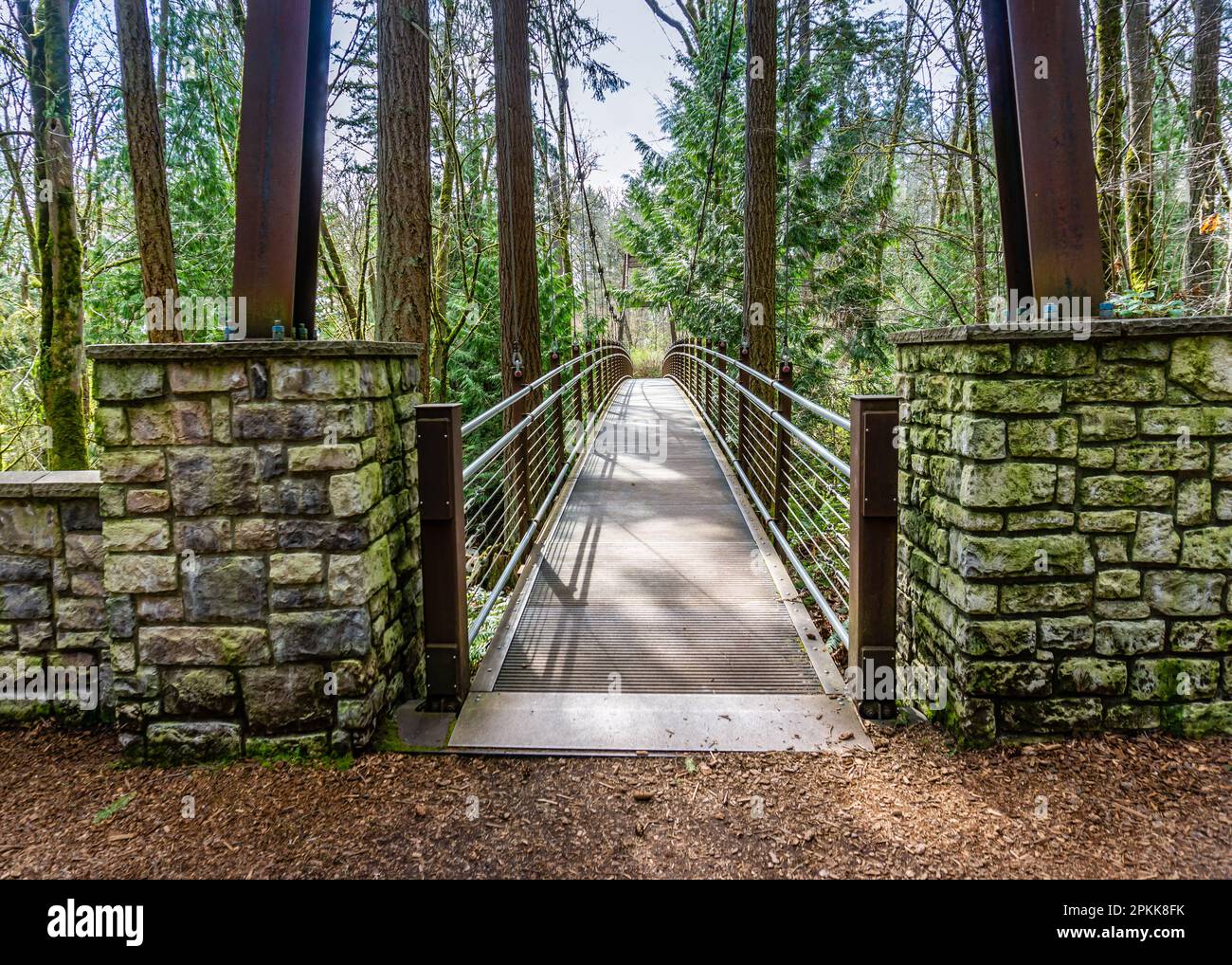 A view os a walking suspension brdige at  Bellevue Botanical Garden in Washington State. Stock Photo