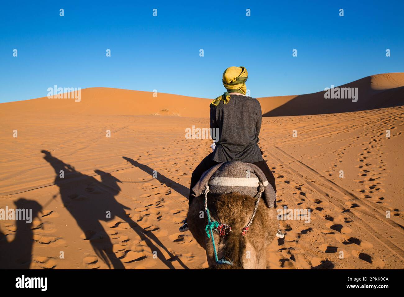 A tourist rides a camel with shadows of other riders in the Sahara Desert in Merzouga Stock Photo