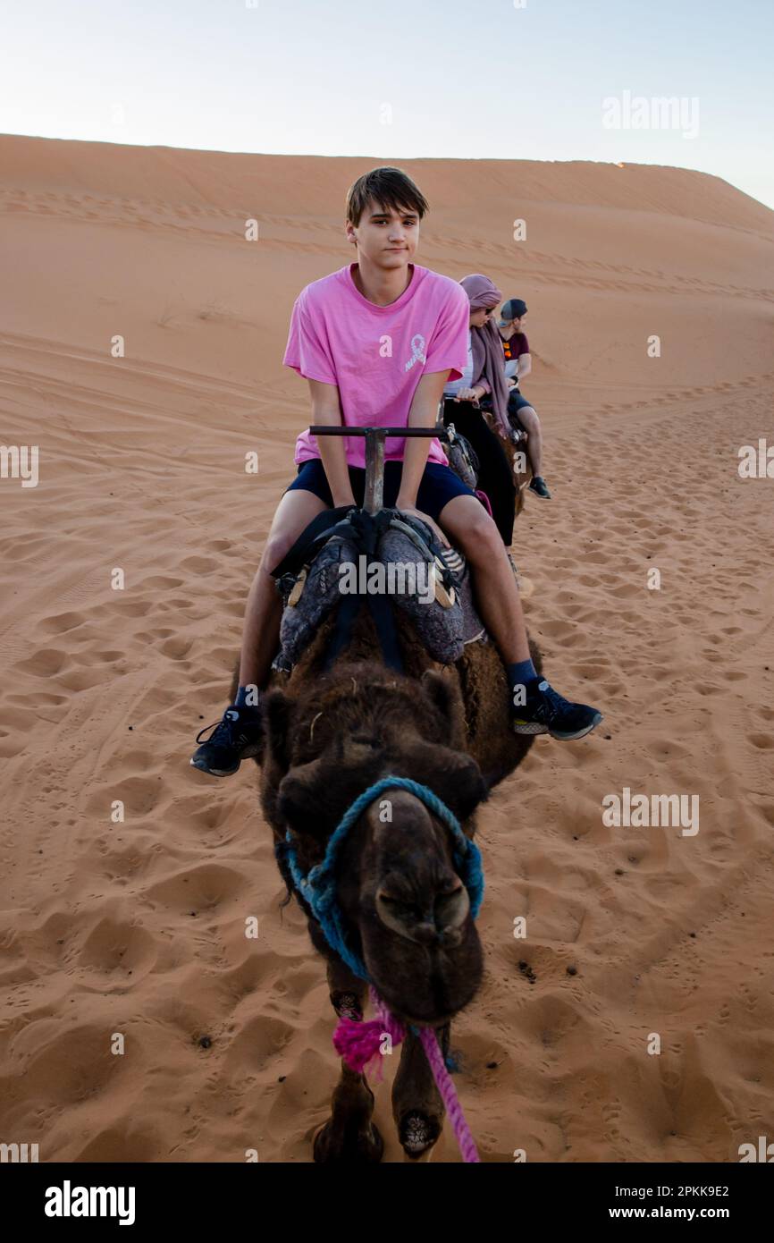 An American teenaged boy rides a camel in the Sahara Desert Stock Photo ...