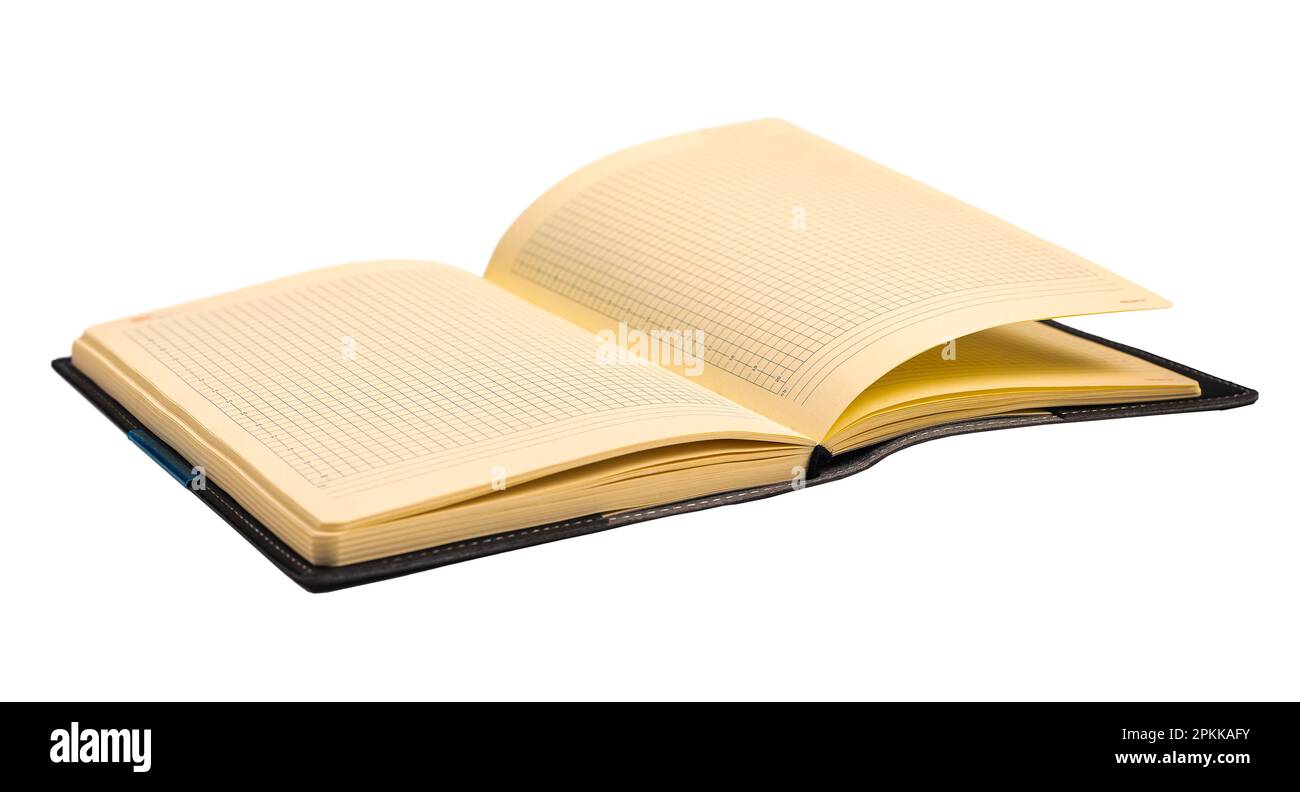 Office planner, business organizer with checkered pages, grid paper