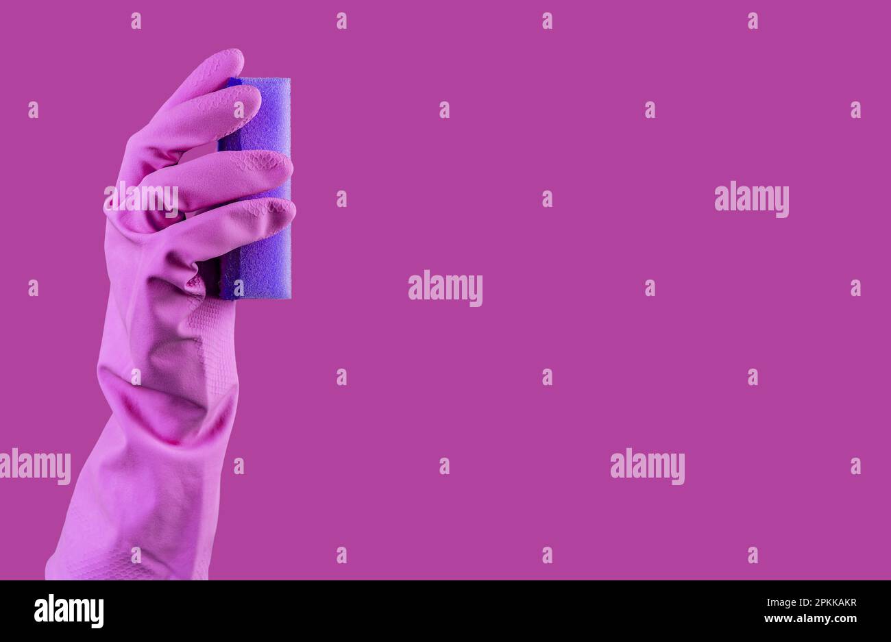 Hand in purple rubber glove holding violet washing sponge for cleaning
