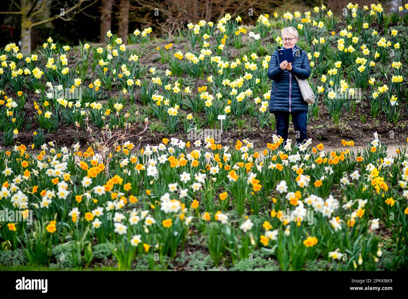Bad Zwischenahn, Germany. 08th Apr, 2023. photographs numerous