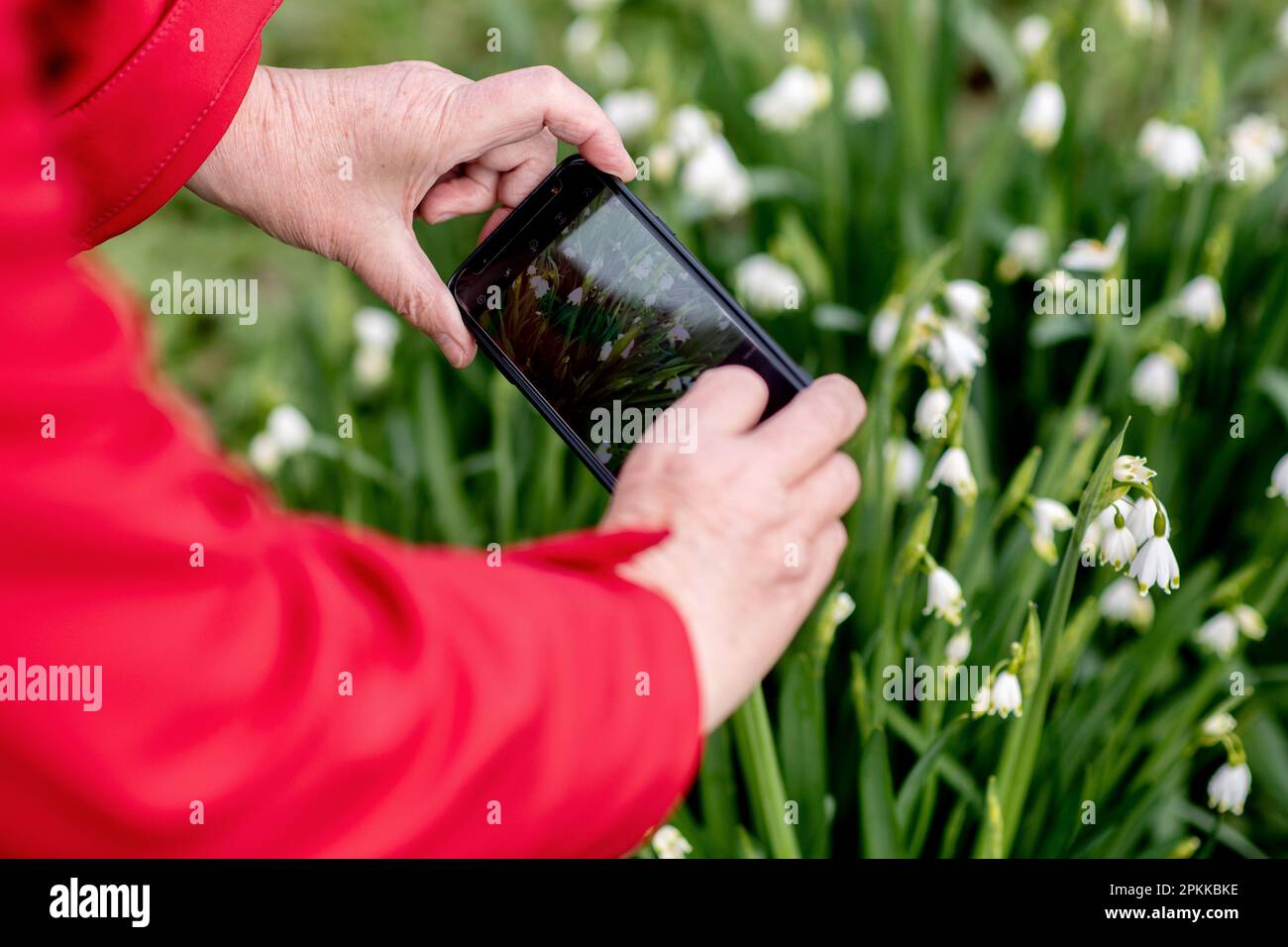 Park der gärten bad zwischenahn hires stock photography and images Alamy