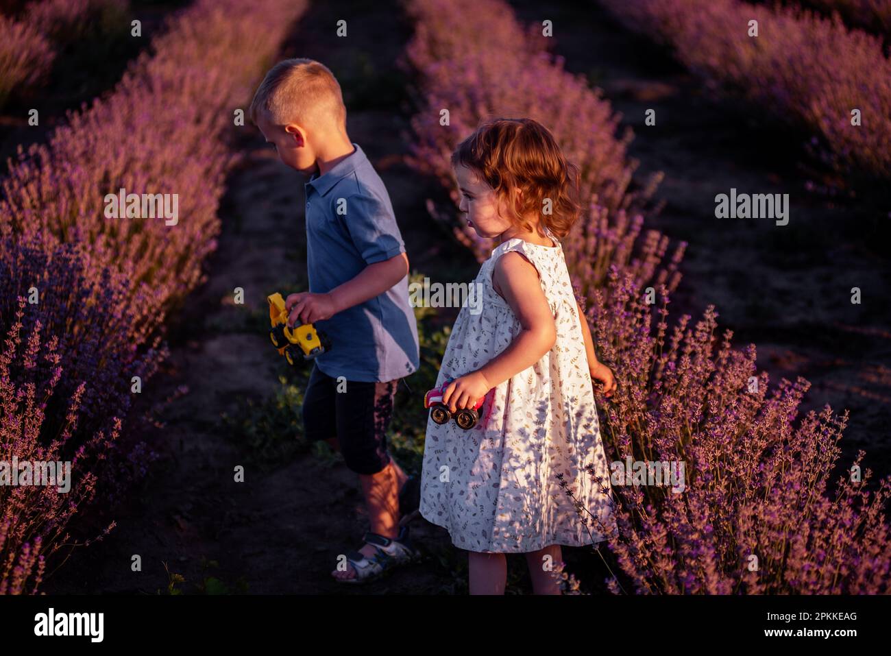 Playful little cute couple boy girl walk on purple lavender flower meadow field background, have fun, enjoy good sunny day. Excited small kids. Family Stock Photo