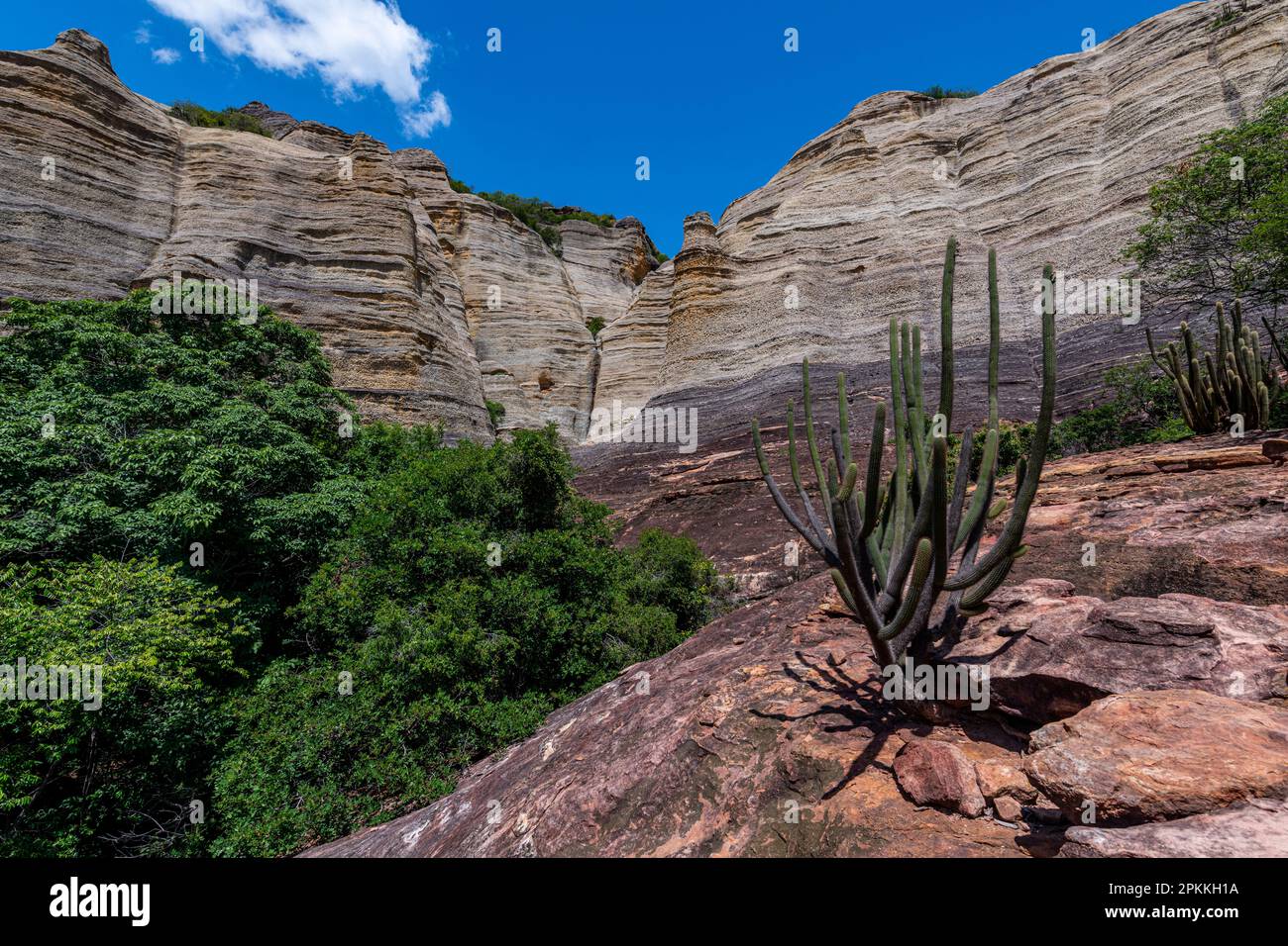 Sandstone cliffs at Pedra Furada, Serra da Capivara National Park, UNESCO World Heritage Site, Piaui, Brazil, South America Stock Photo