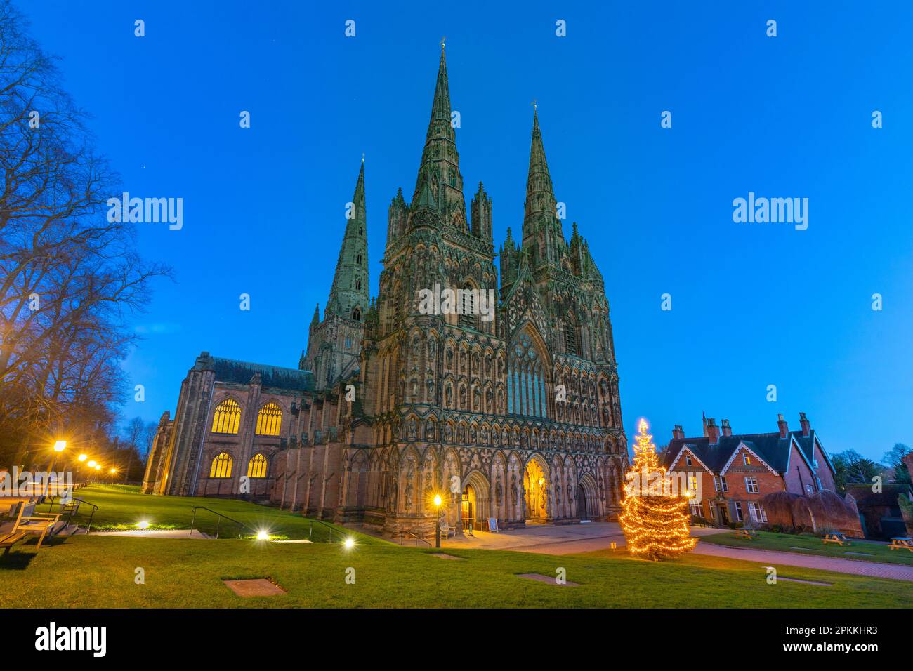 Lichfield Cathedral, Christmas tree, Lichfield, Staffordshire, England