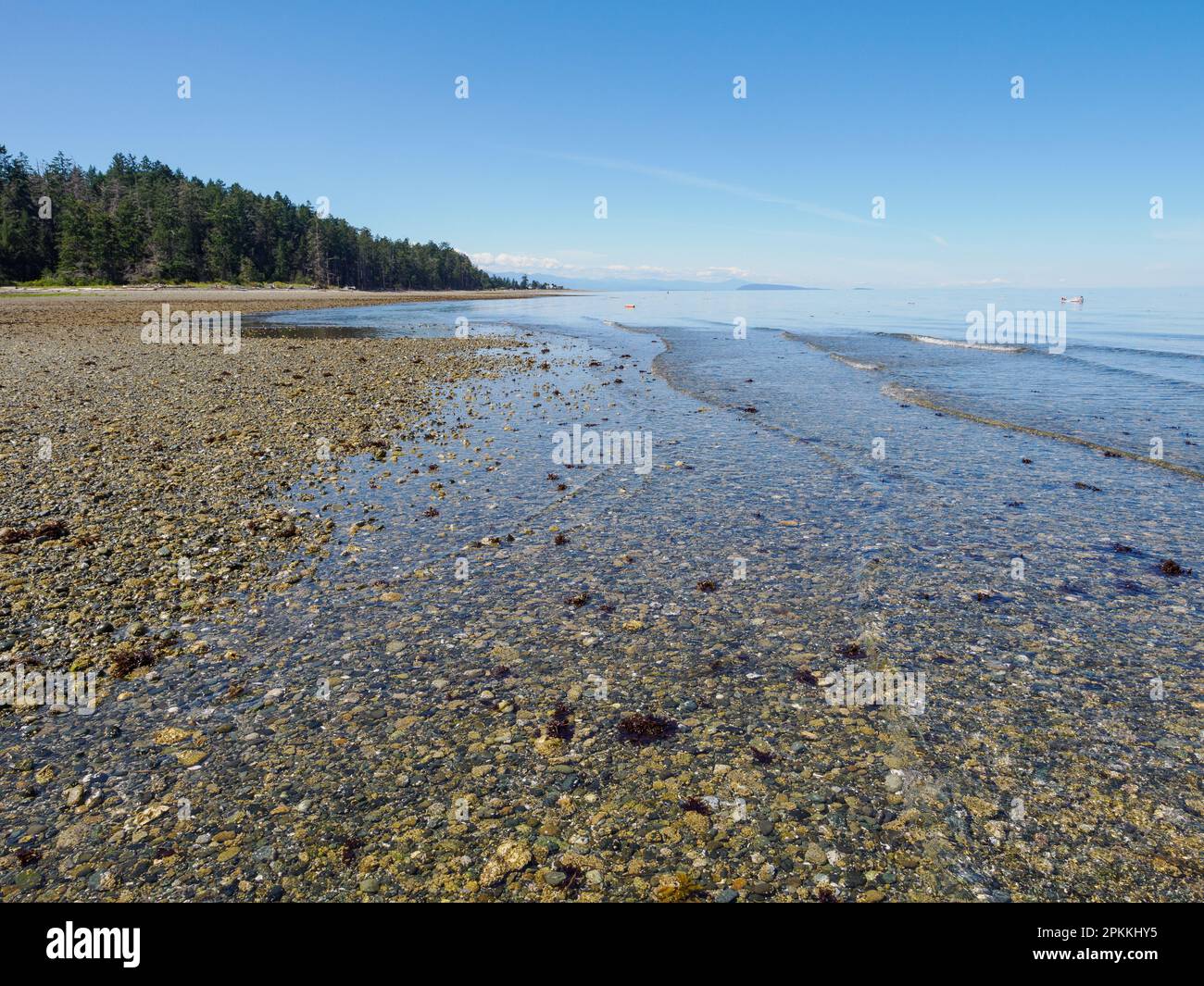Qualicum Beach, Vancouver Island, British Columbia, Canada, North America Stock Photo