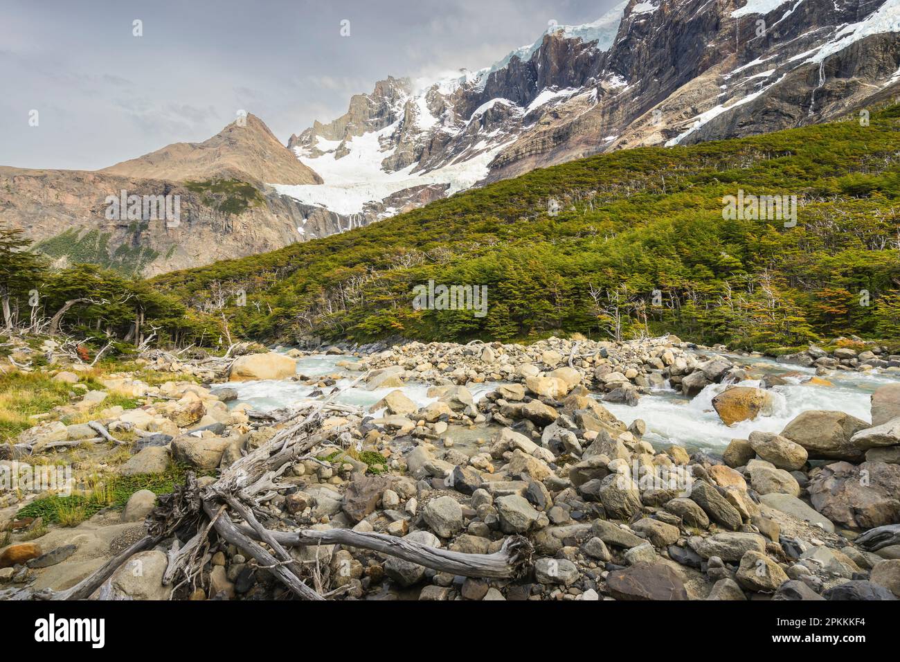 River flowing by Paine Grande mountain in French Valley, Torres del ...