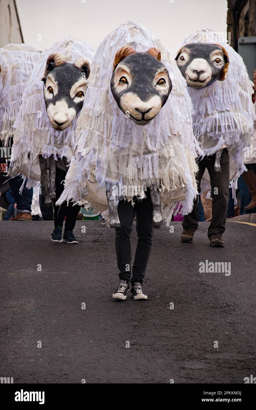 Giant Swaledale sheep entertaining the crowds at the Skipton Puppet Festival in 2015. Stock Photo
