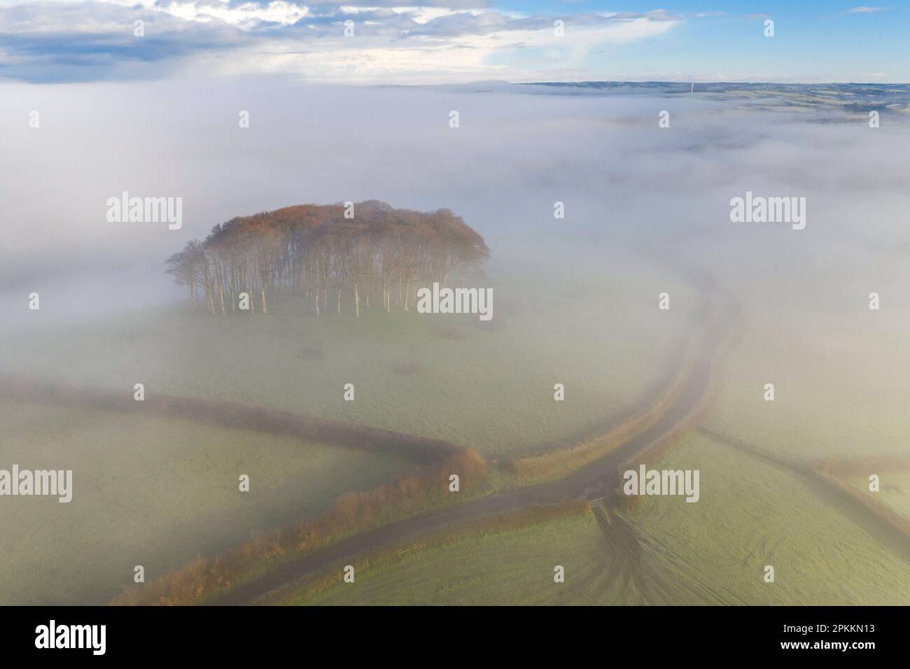 Aerial view of Cookworthy Knapp (The Nearly Home Trees) in winter, near Lifton, Devon, England, United Kingdom, Europe Stock Photo