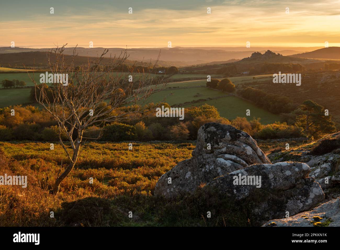 Rolling Dartmoor moorland and countryside at sunrise in autumn, Devon, England, United Kingdom, Europe Stock Photo