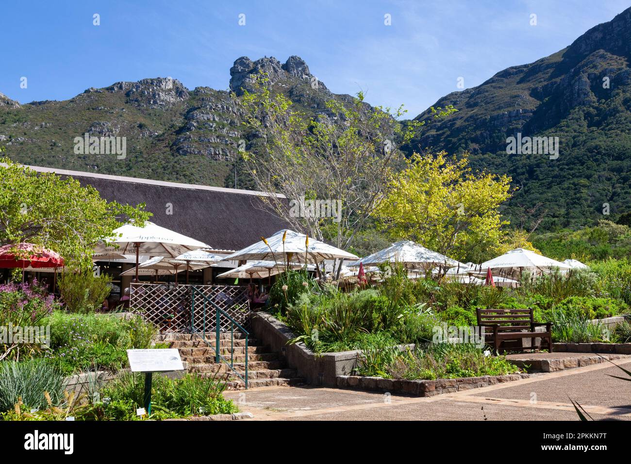 Restaurant at Kirstenbosch Botanical Garden, Cape Town, Western Cape, South Africa with a view to Castle Rock and tourists eating on the open air terr Stock Photo